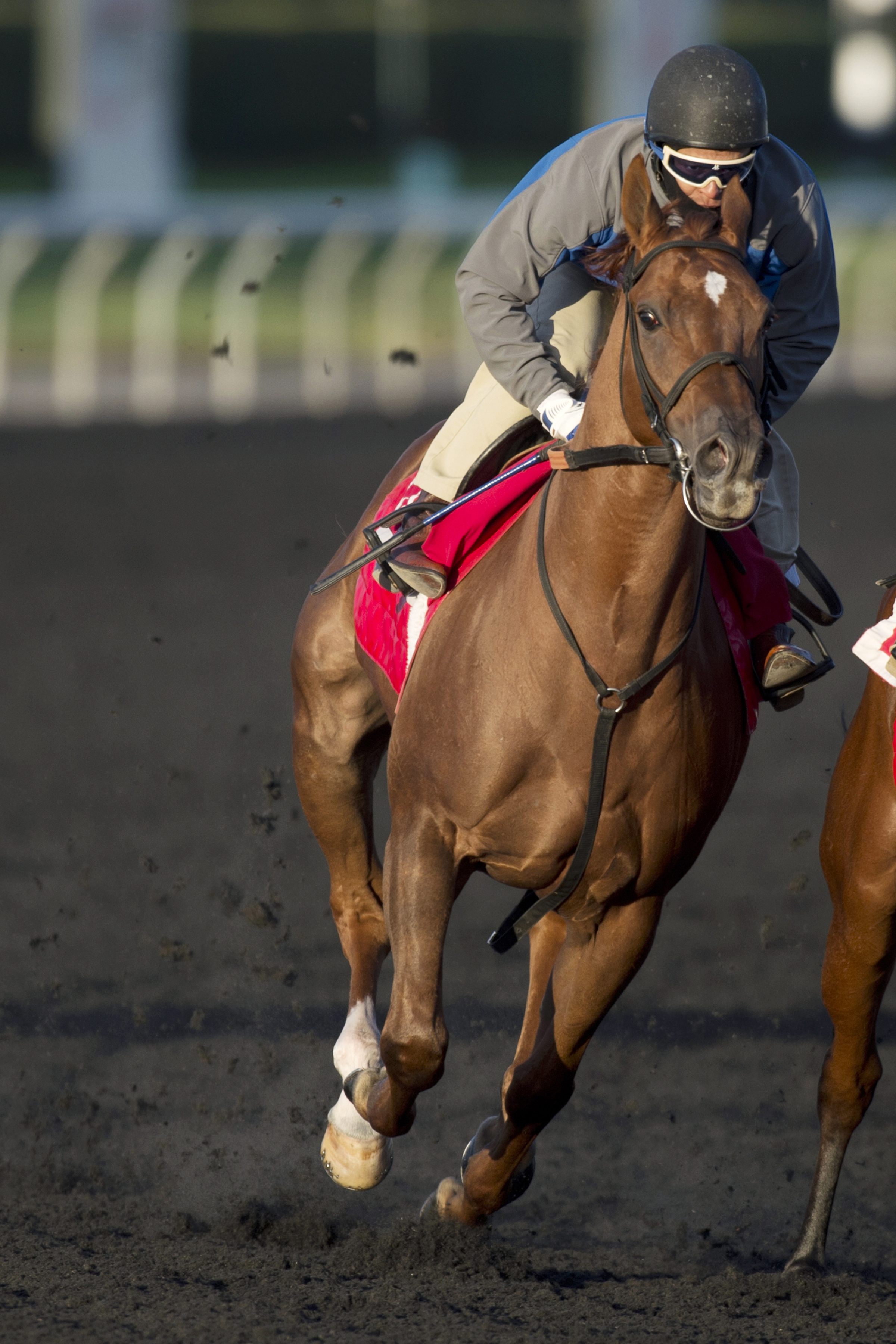 Aqueduct: Soft turf key factor in Red Smith