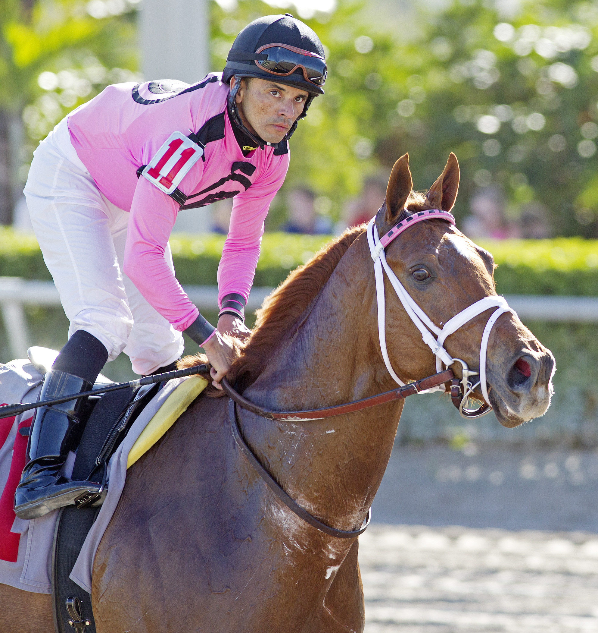 Kaigun after a maiden race at Gulfstream