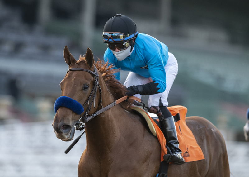 Kalypso wins Santa Ynez 1-3-2021