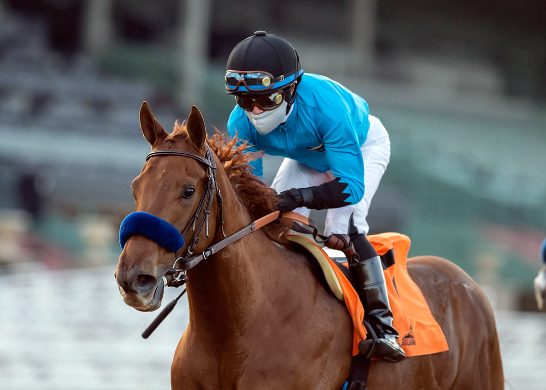 Kalypso wins the 2021 Santa Ynez Stakes at Santa Anita