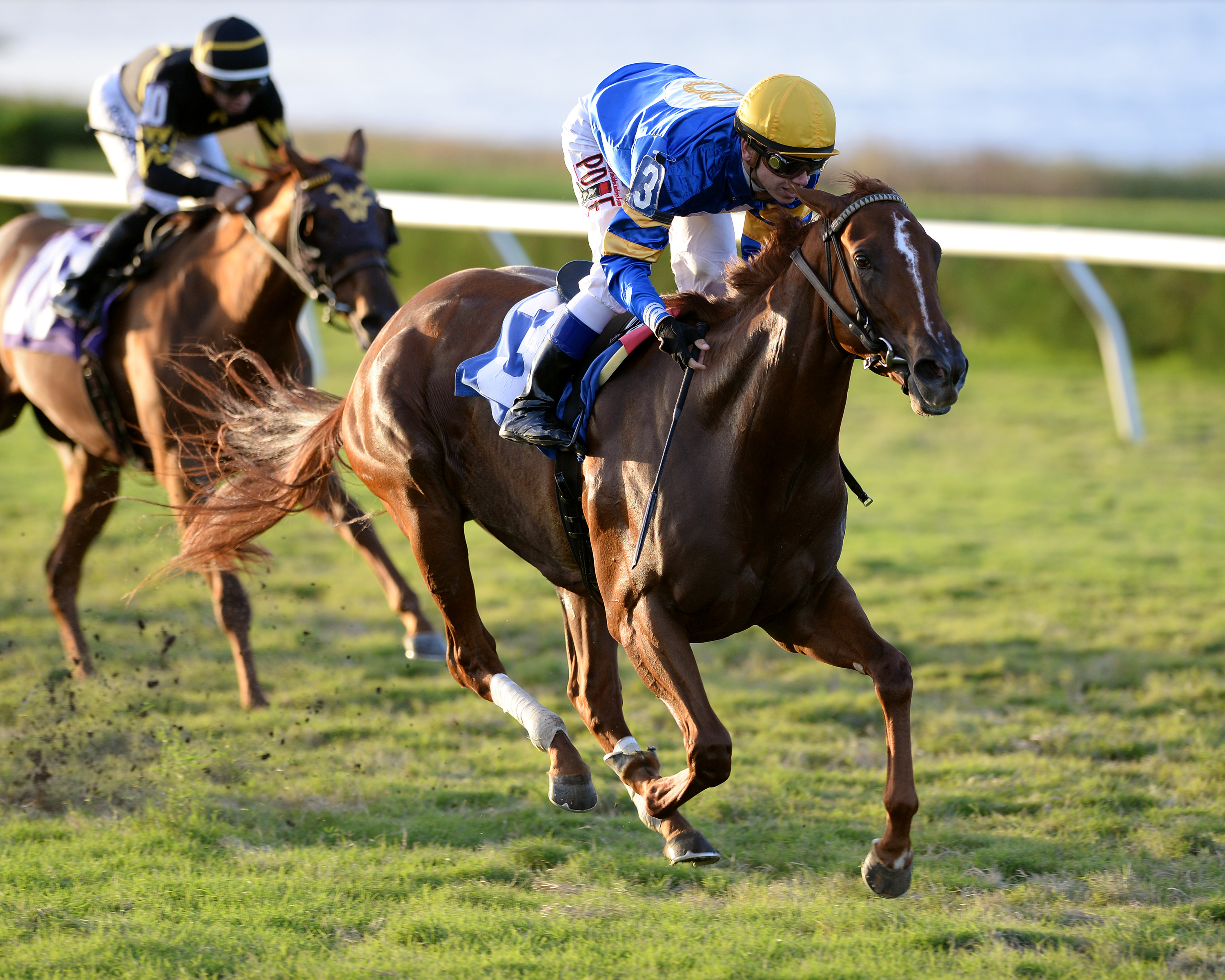 Kandoo wins an optional claiming race