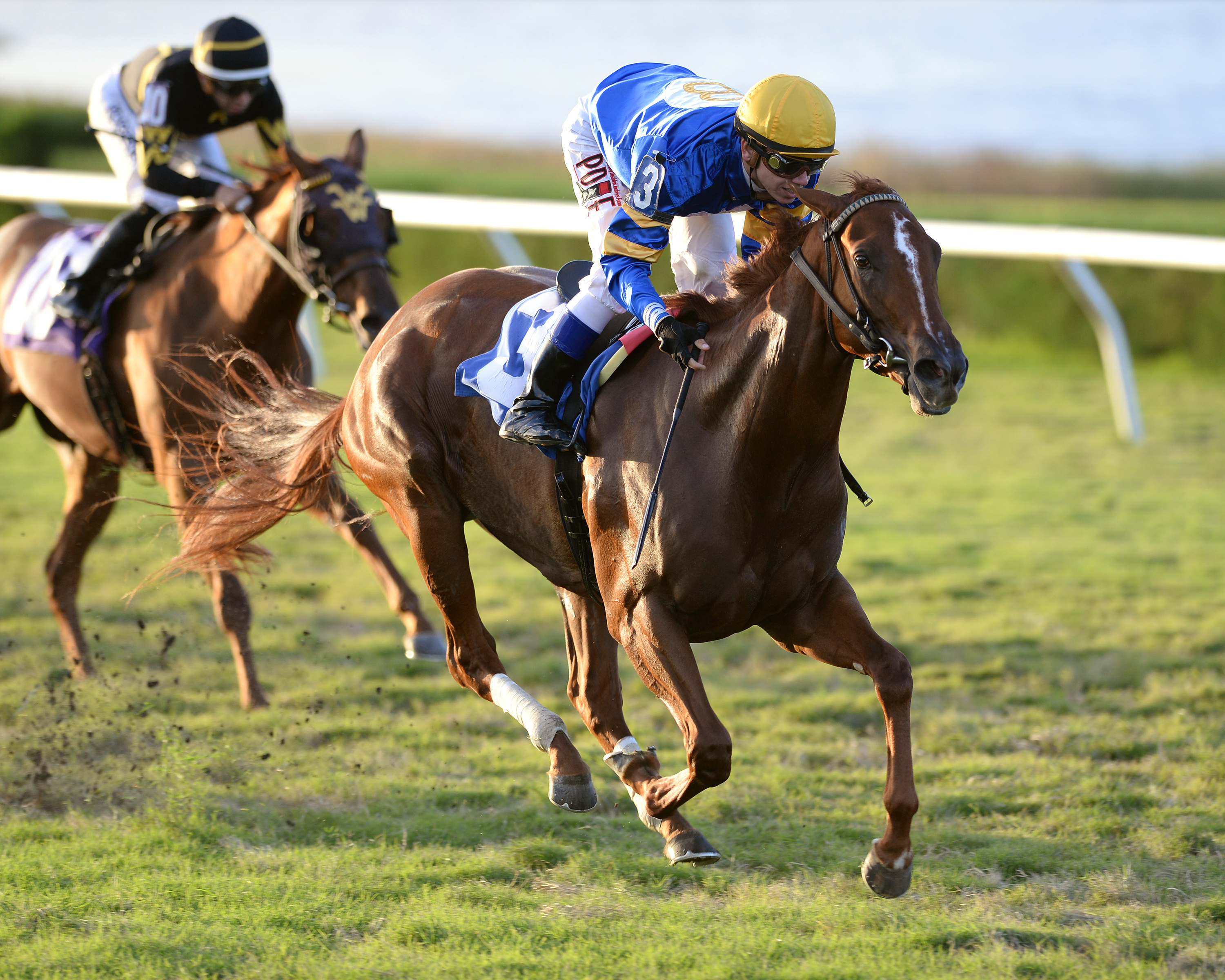 Kandoo wins an optional claiming race