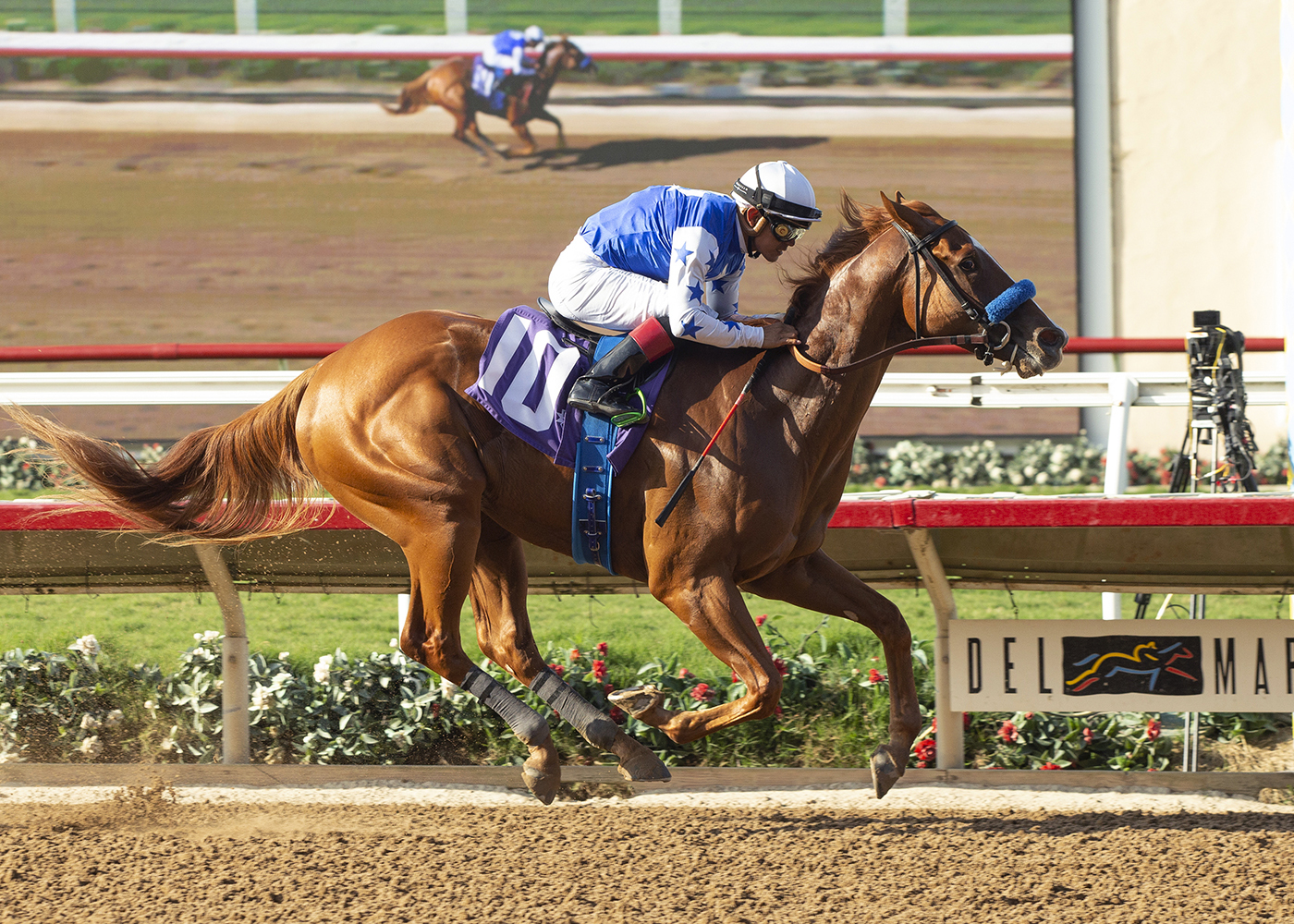 Kangaroo Court wins a maiden race at Del Mar Aug 20 2022