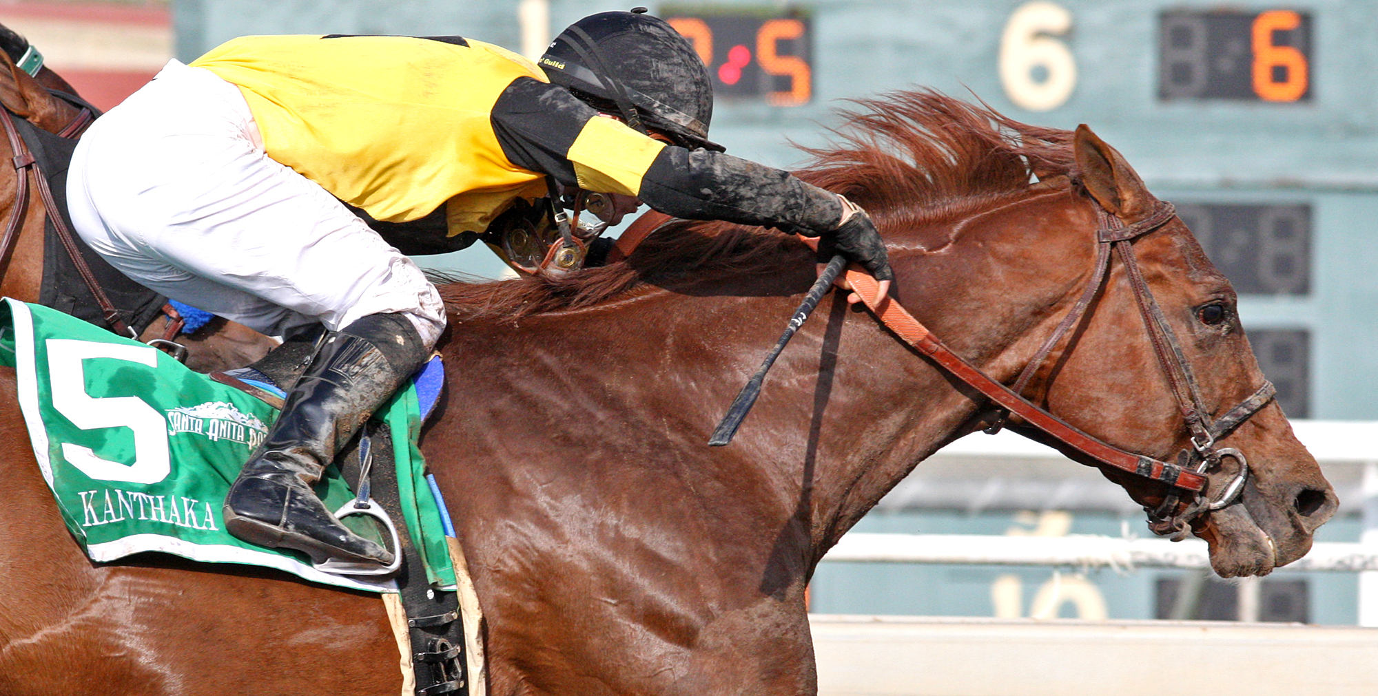 Kanthaka wins the 2018 San Vicente Stakes
