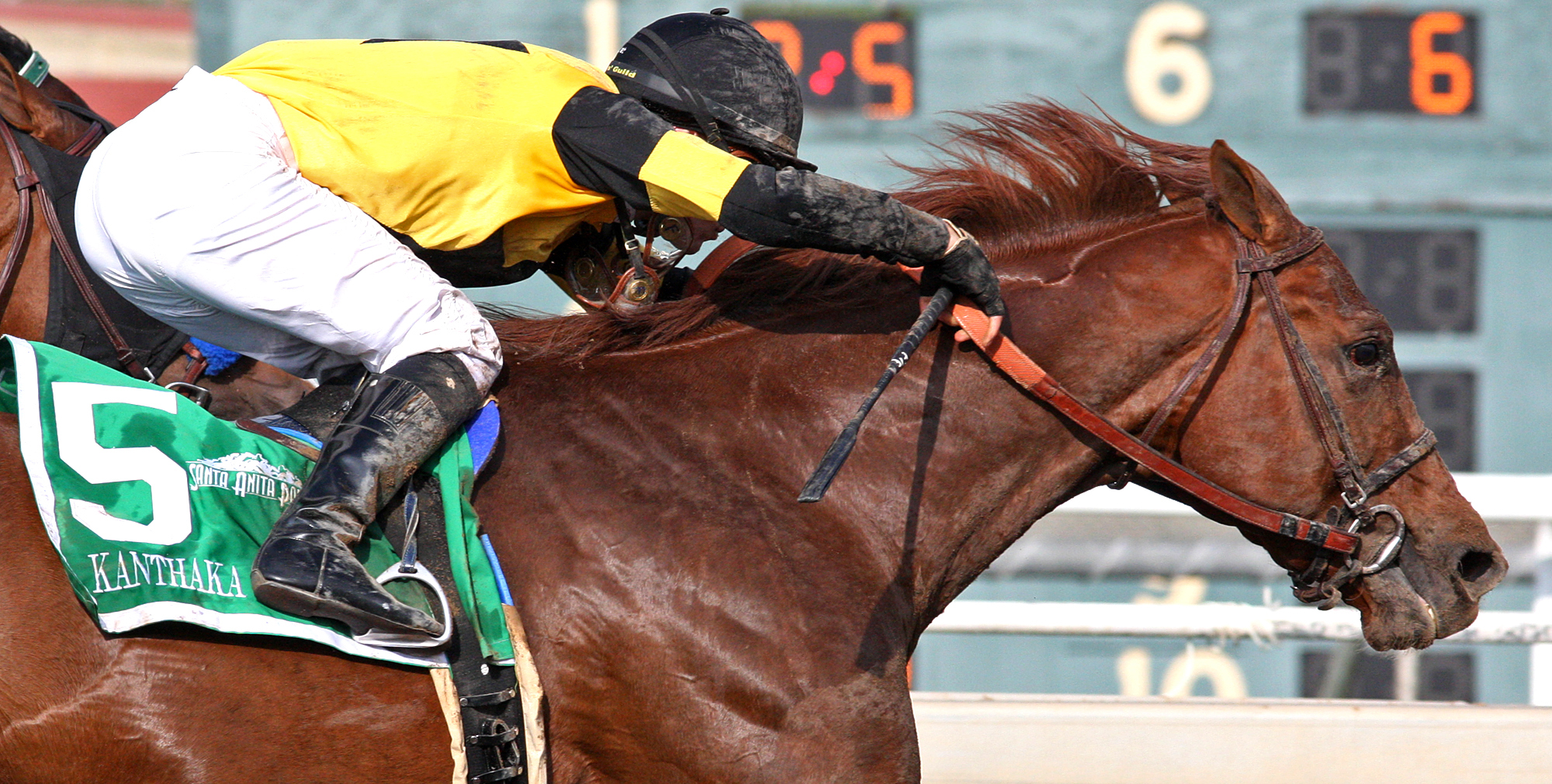 Kanthaka wins the 2018 San Vincente