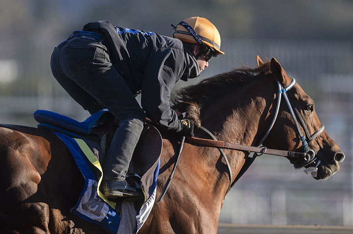 Kanthaka trains at Santa Anita on Feb. 8