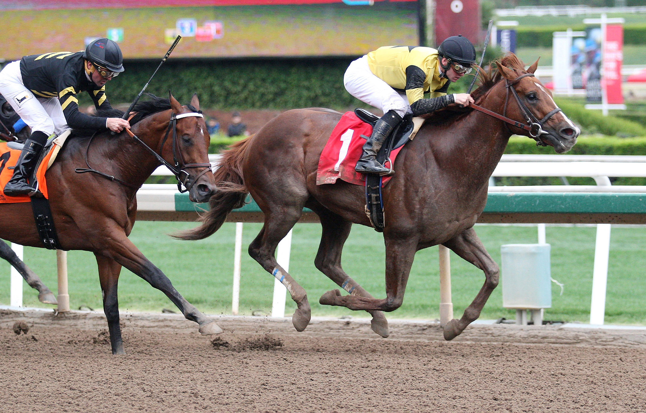 Kanthaka wins the 2018 Lazaro Berrera Stakes