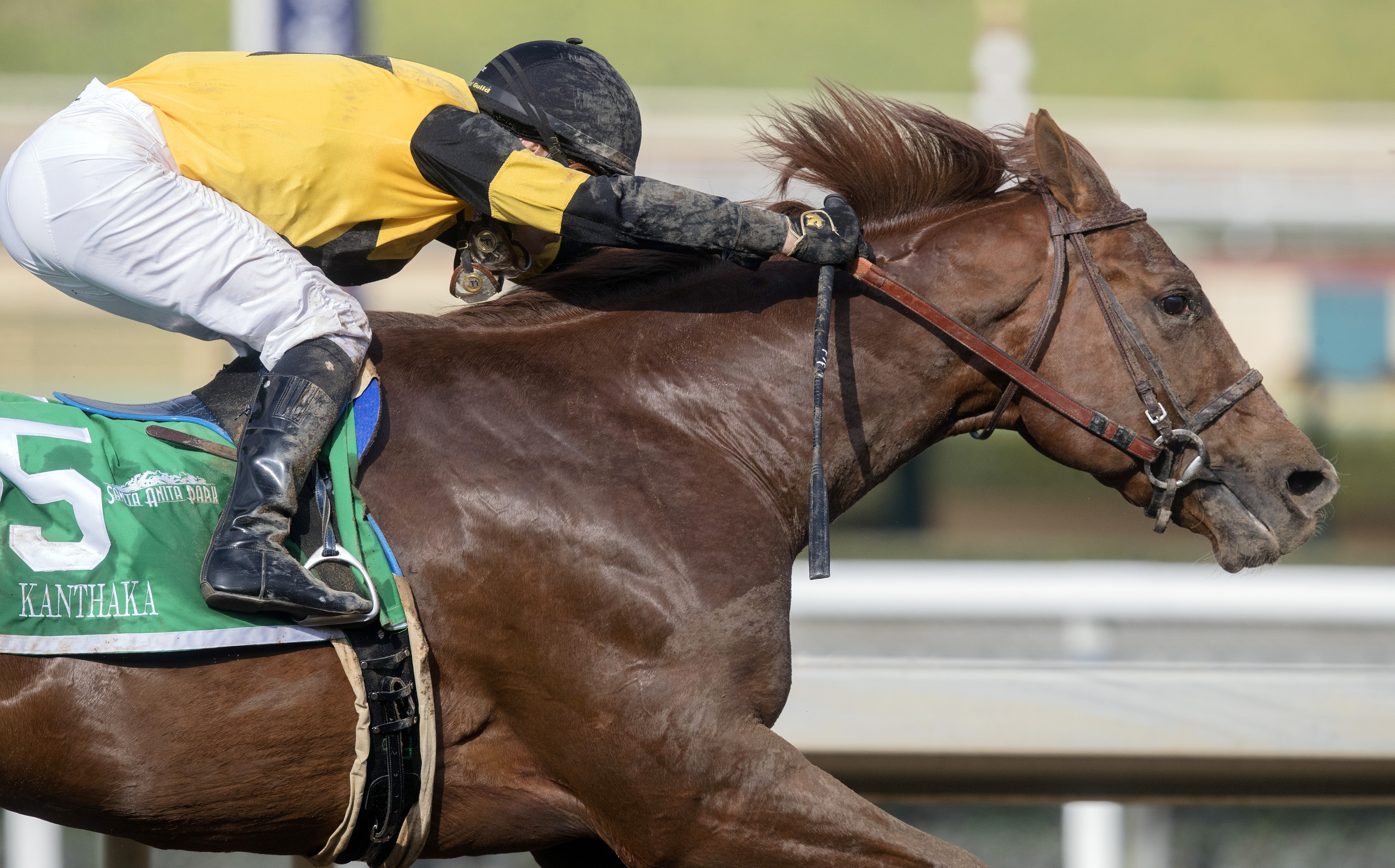 Kanthaka wins the 2018 San Vincente