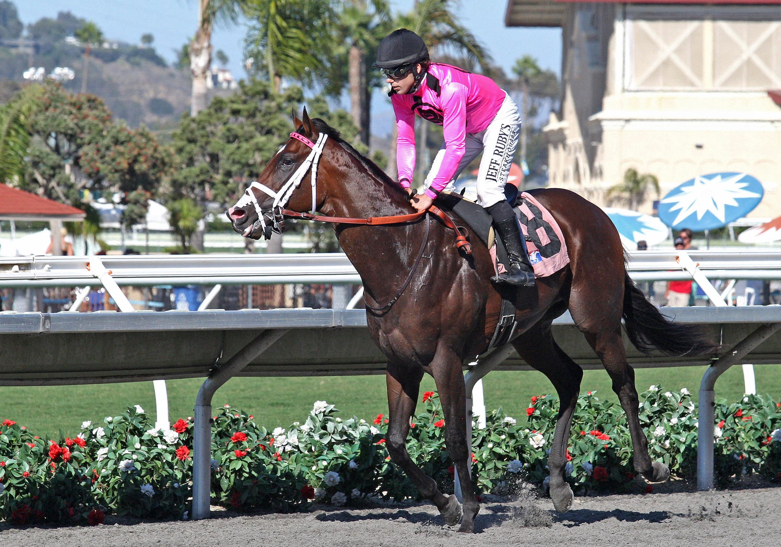 Kantune finishes second in a maiden race