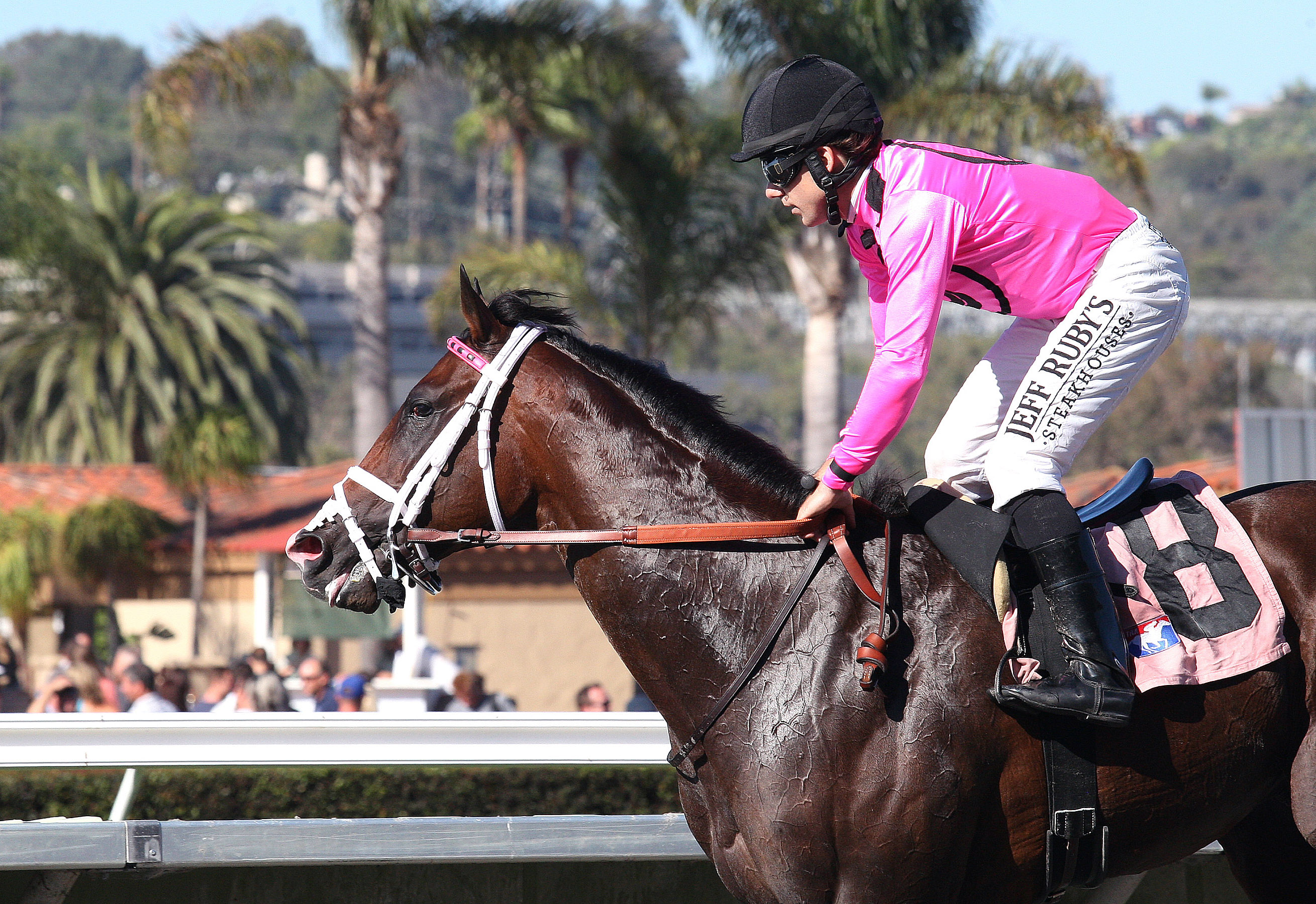 Kantune finishes second in a maiden