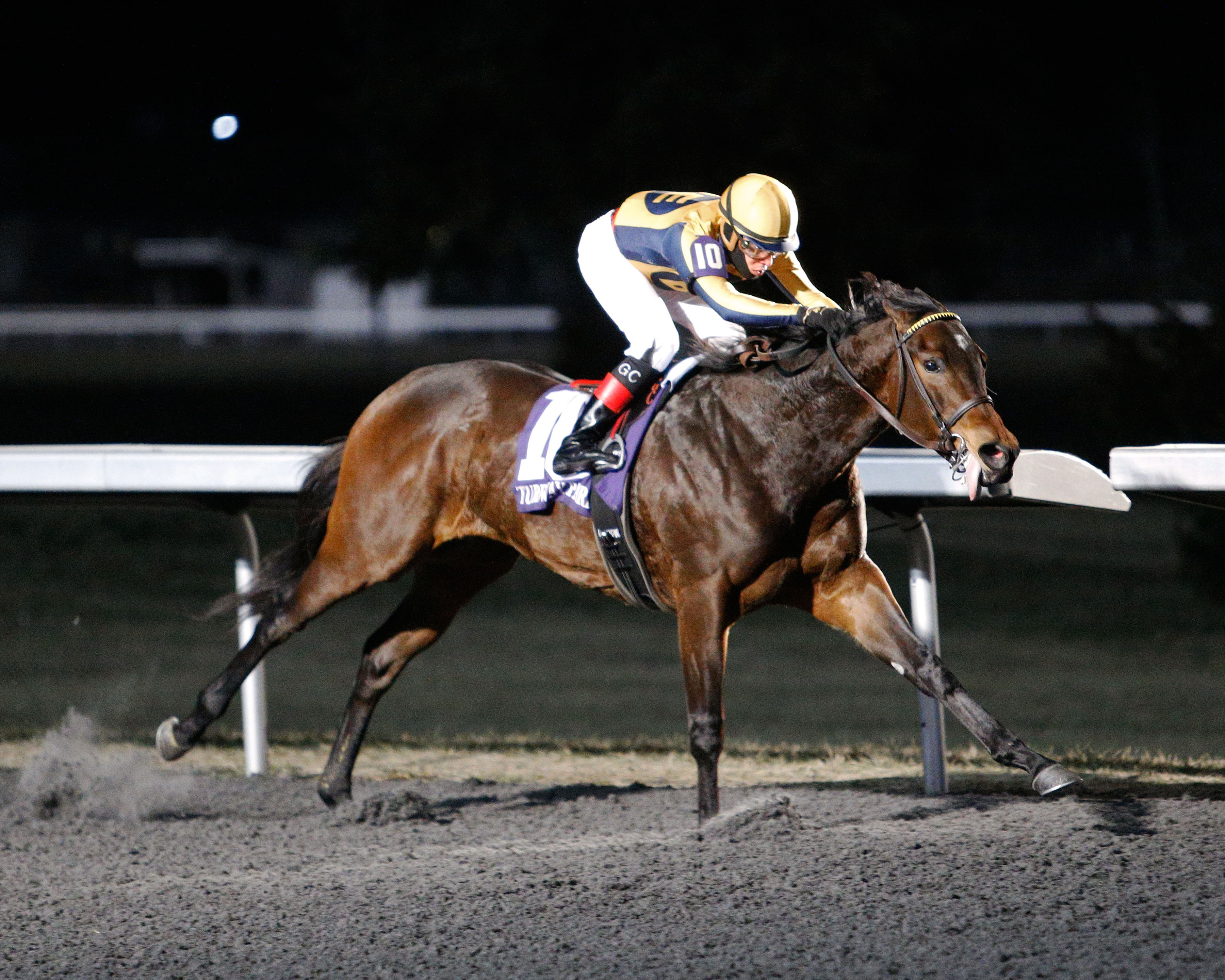 Karak wins the 2020 Cincinnati Trophy at Turfway Park