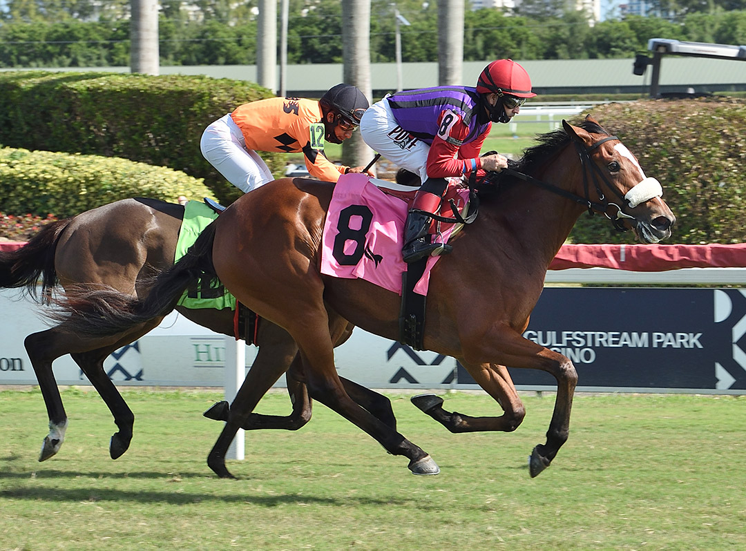 Karakatsie wins a Dec. 5 maiden race at Gulfstream Park