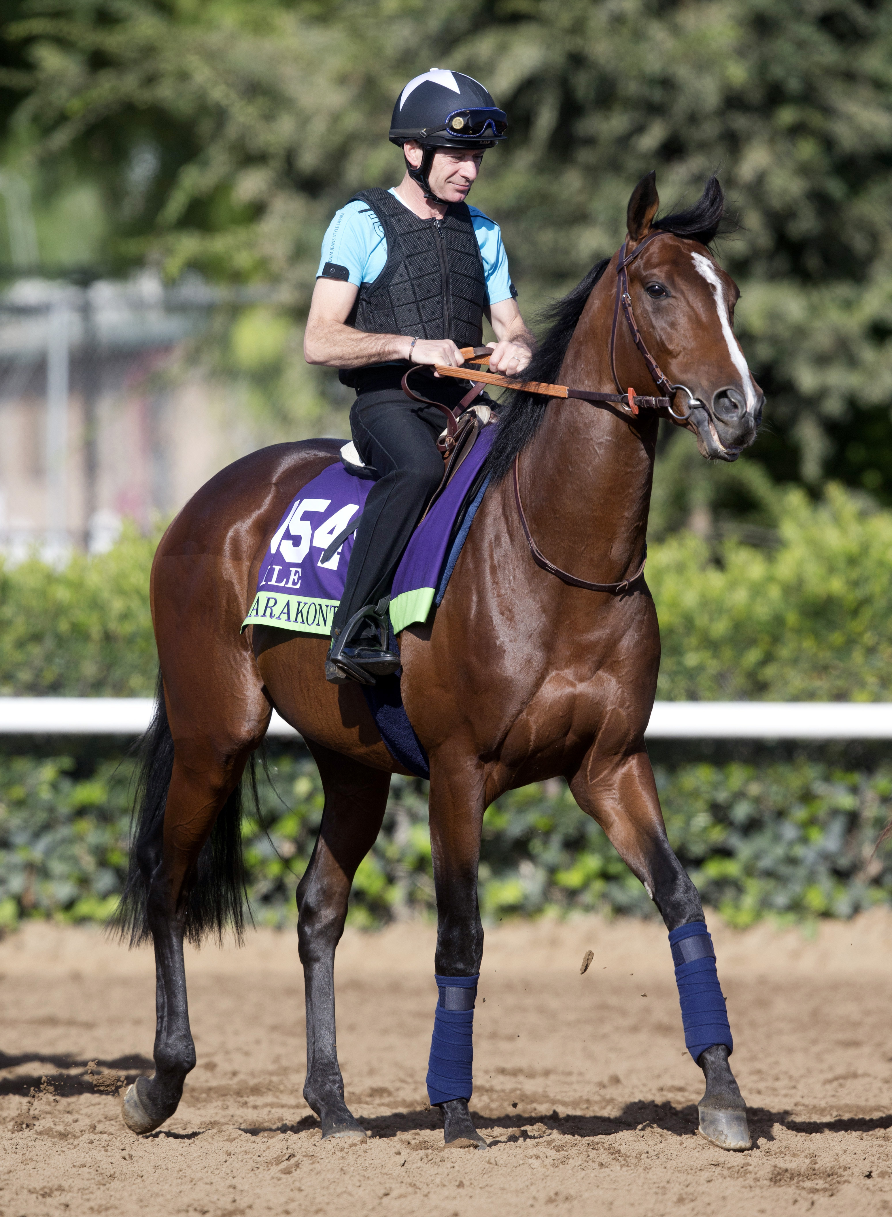 Karakontie at Santa Anita on Oct. 27