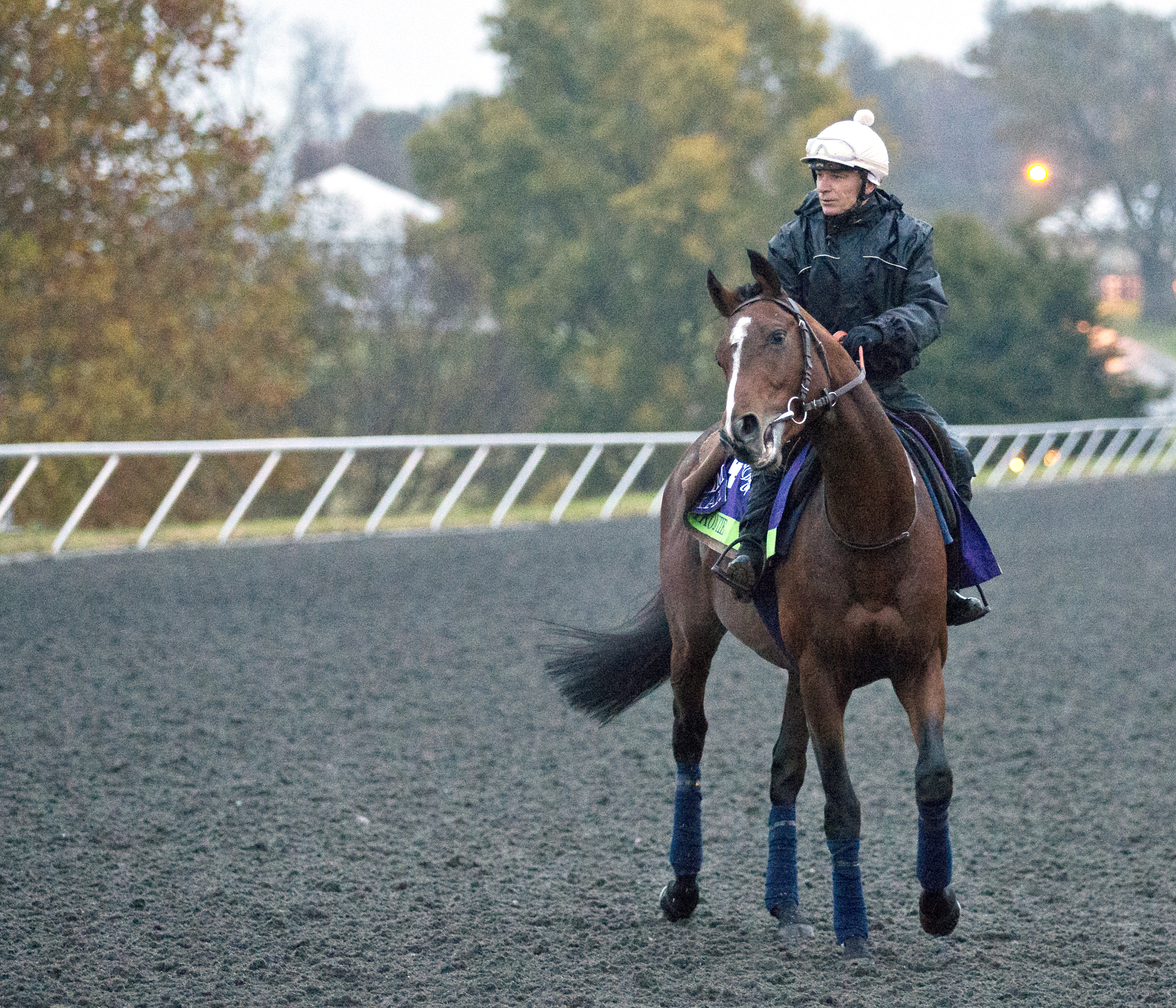 Karakontie at Keeneland on Oct. 27