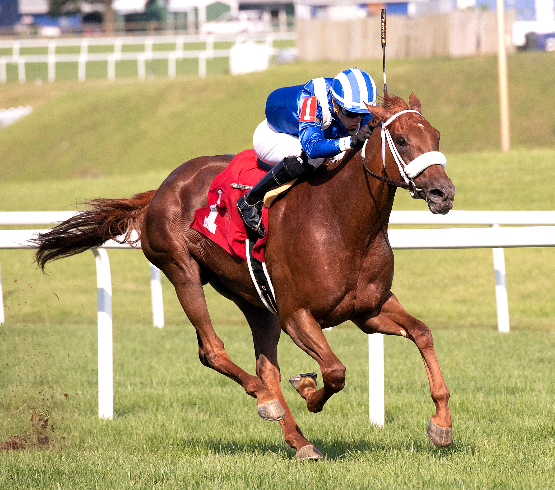 Karama wins the 2019 Stormy Blues Stakes