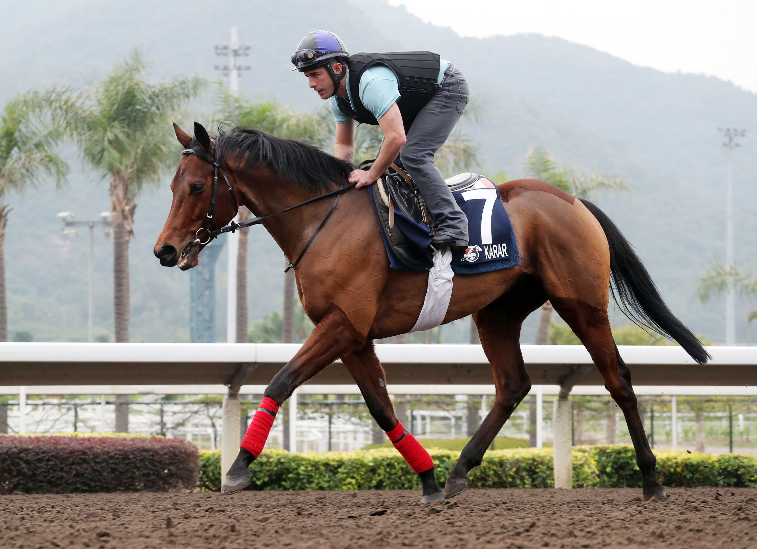 Karar trains at Sha Tin on Dec. 7