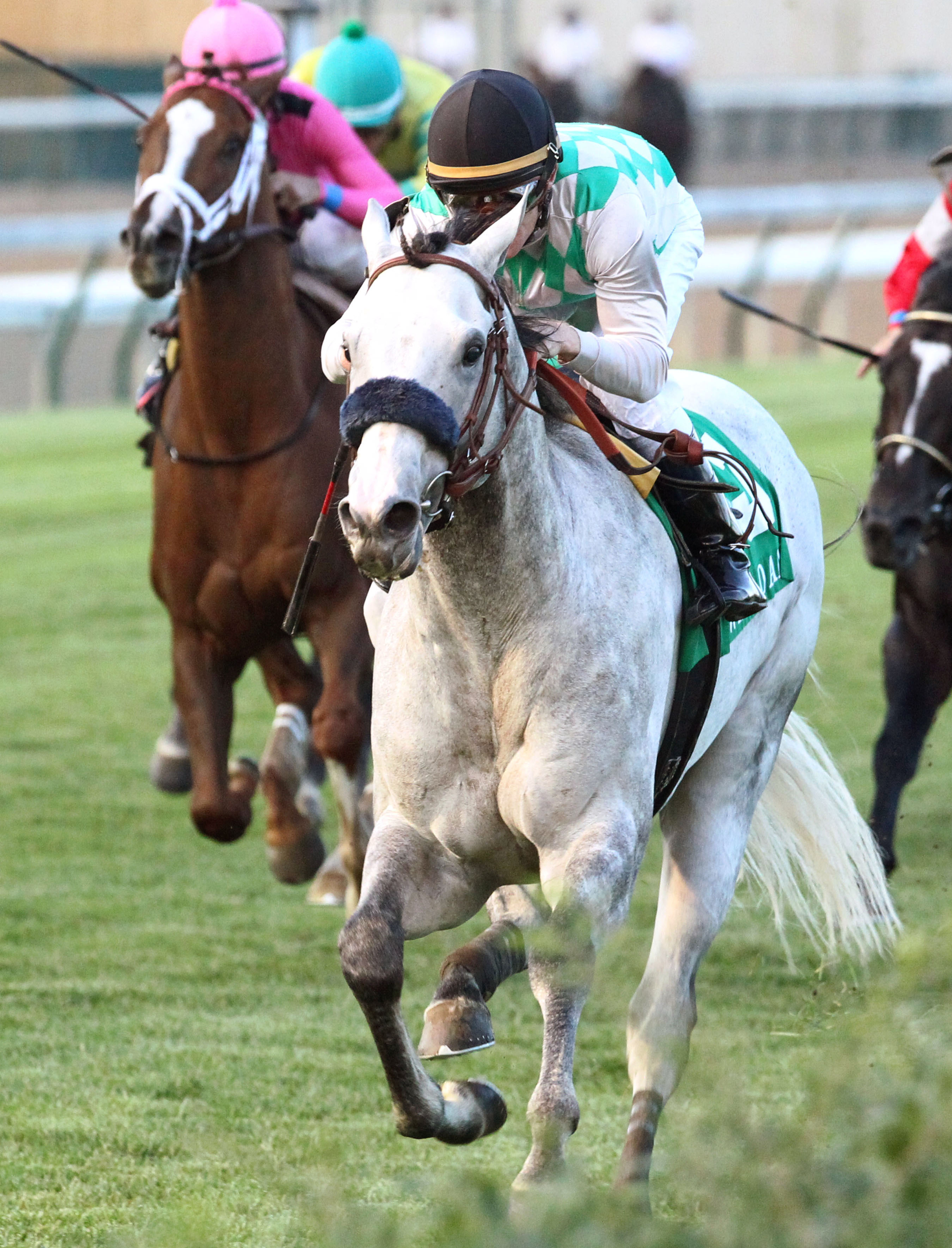 Kasaqui wins the 2017 Wise Dan