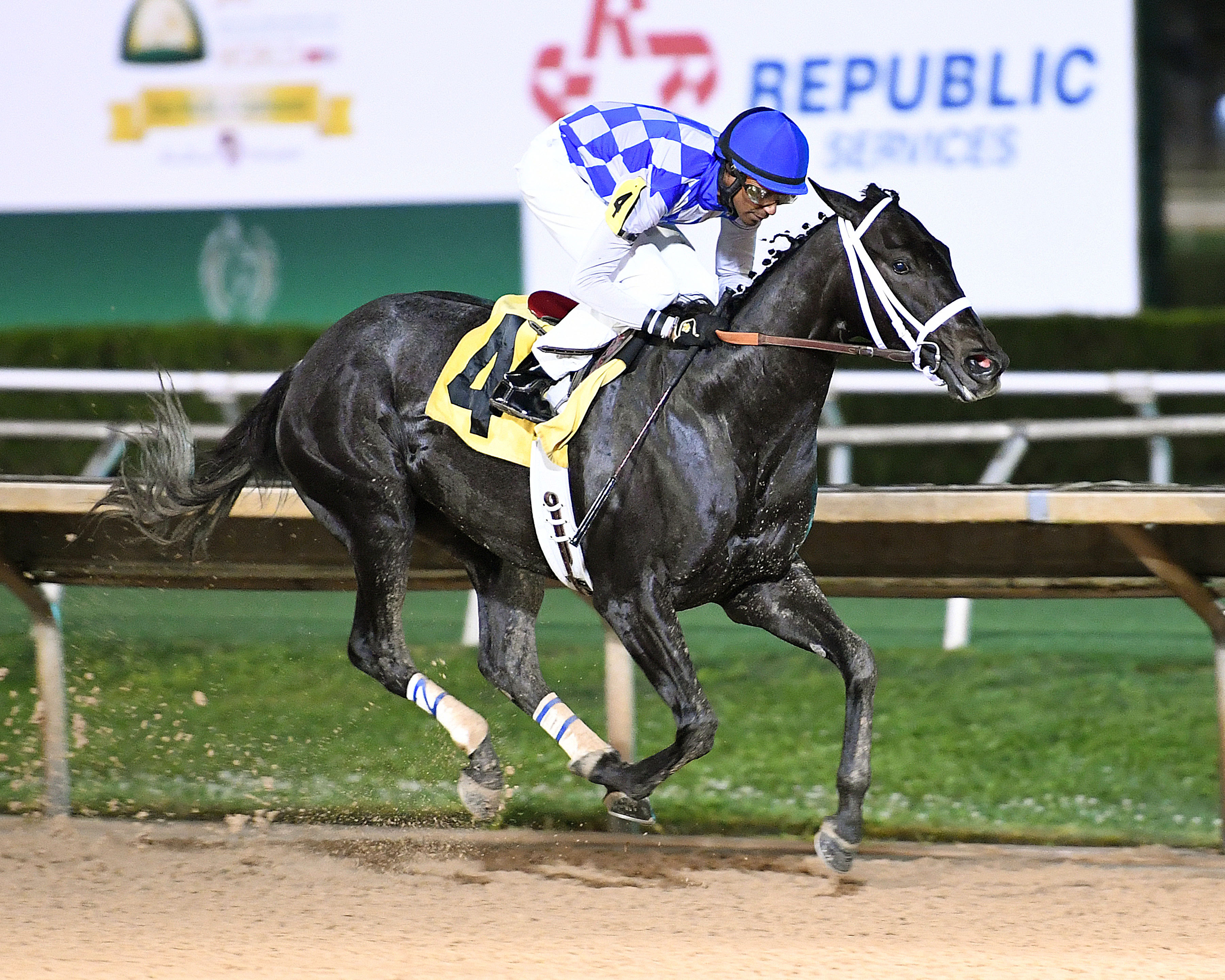 Kat's Infatuation wins the Bara Lass Stakes