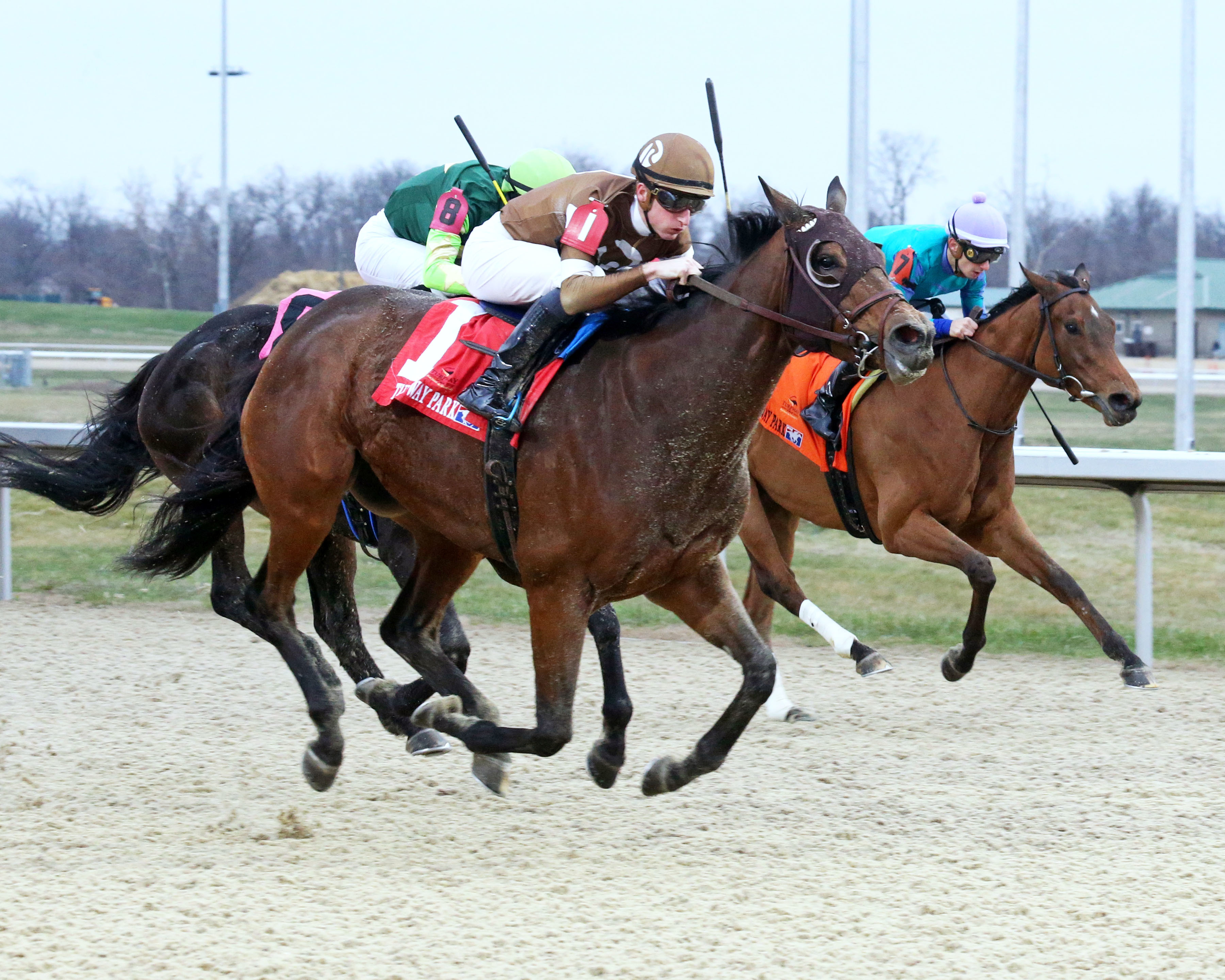 Kate's Kingdom wins the My Charmer at TP Dec 11 2022