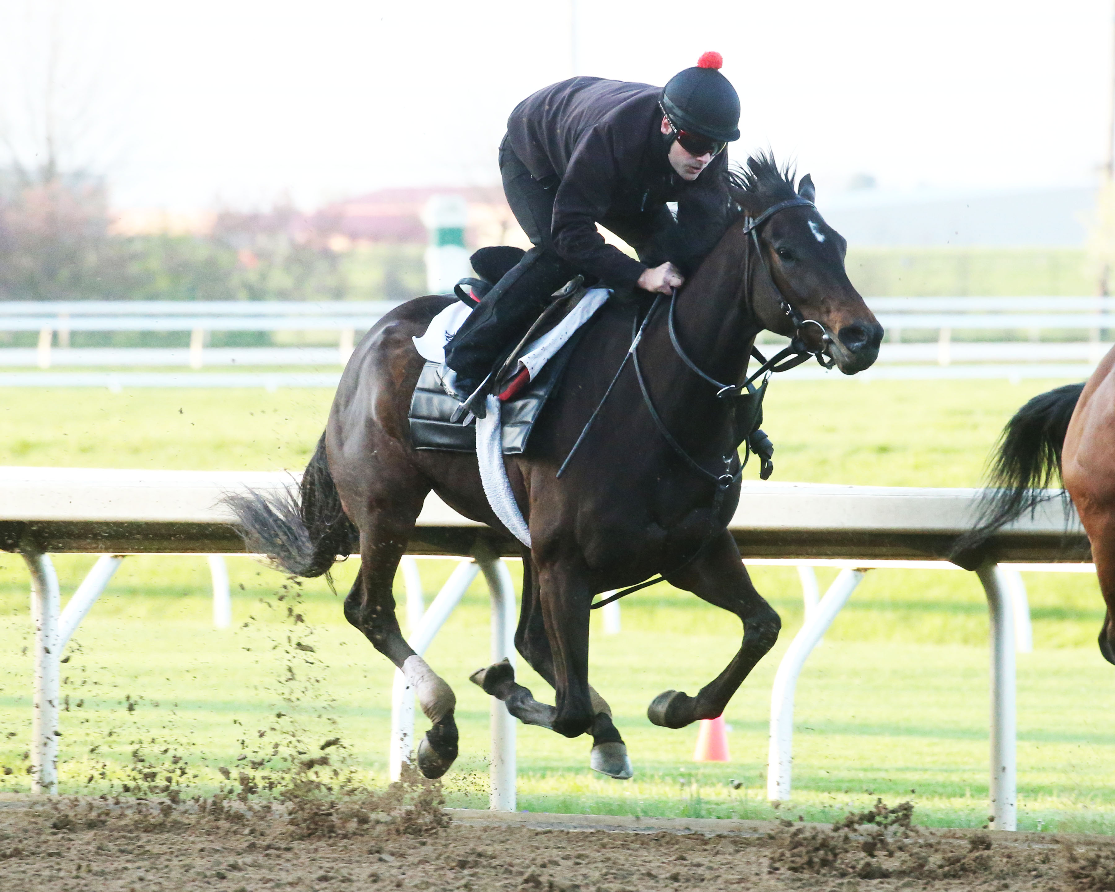 Kathleen O works at Keeneland