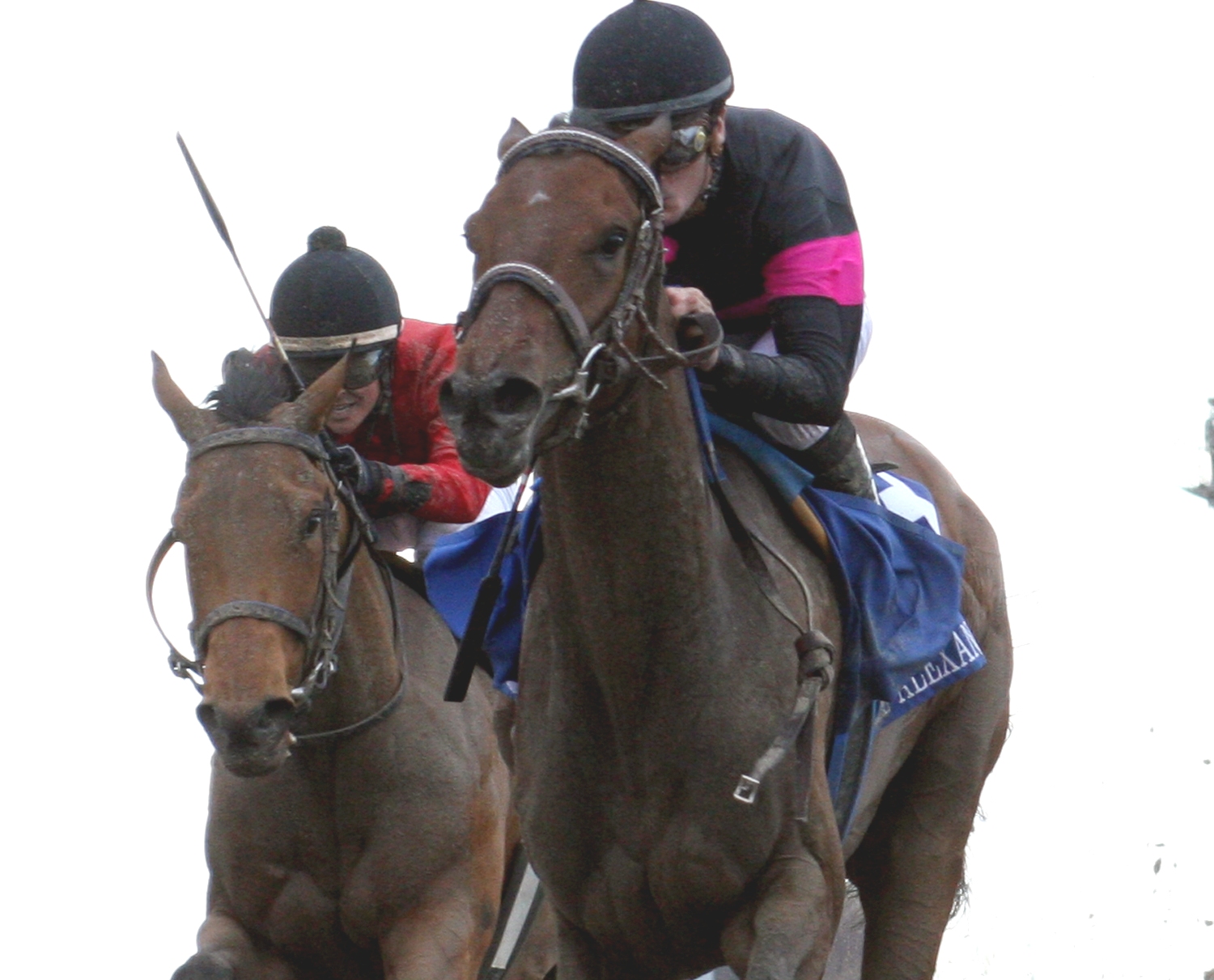 Kathmanblu, 2011 Rachel Alexandra