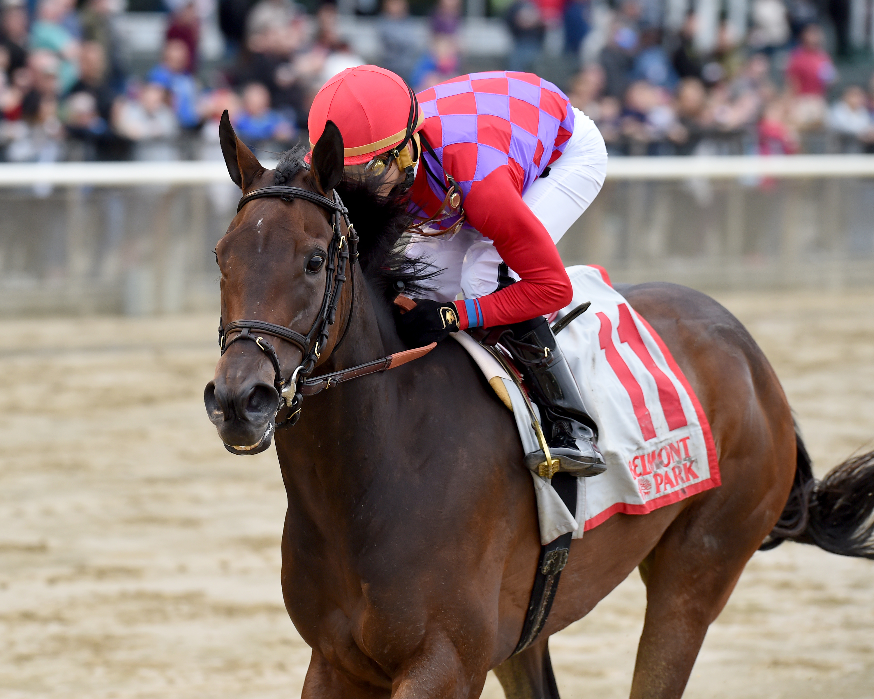 Kathryn the Wise wins the Critical Eye Stakes