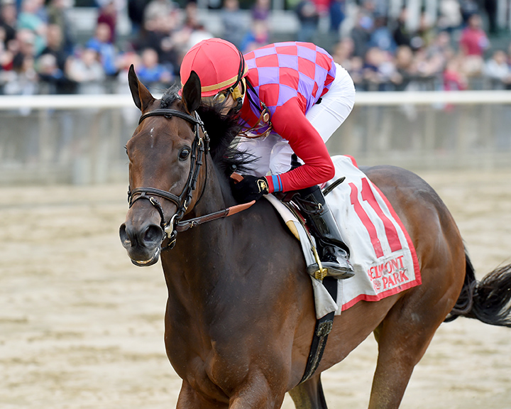 Kathryn the Wise wins the 2017 Critical Eye Stakes
