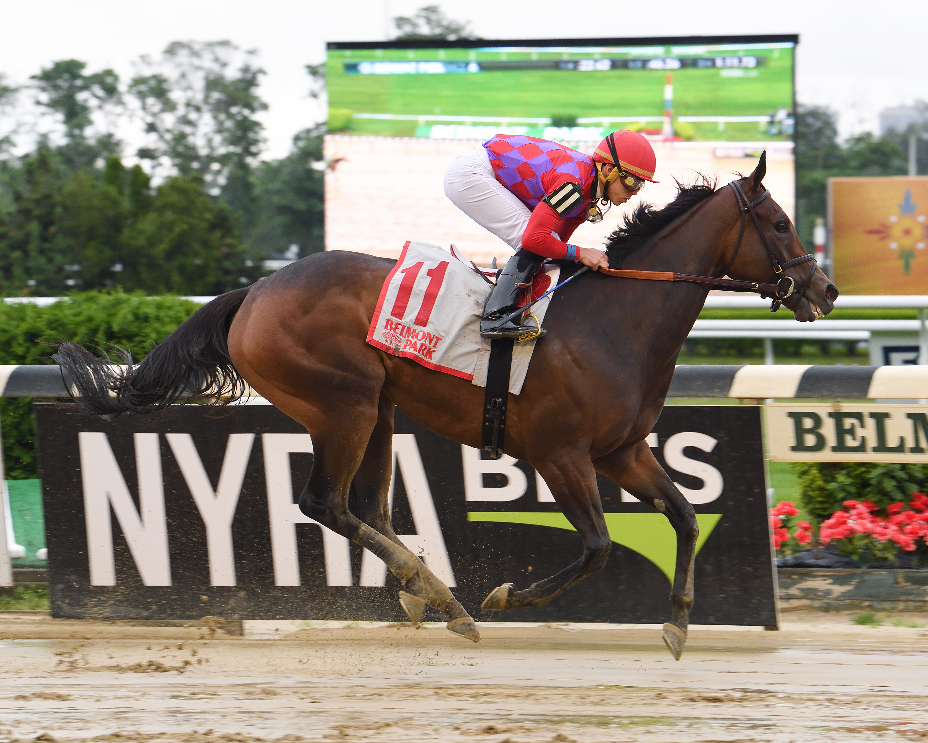 Kathryn the Wise wins the Critical Eye Stakes