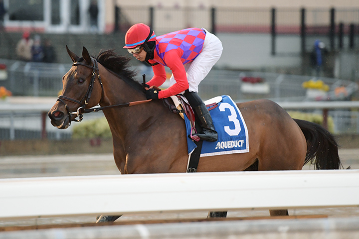 Kathryn the Wise wins the 2018 La Verdad Stakes