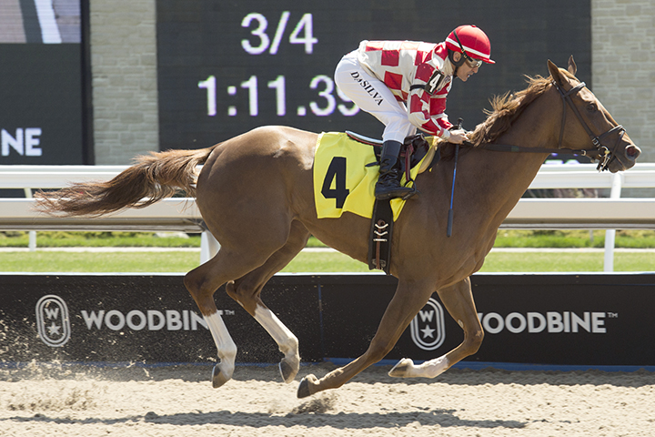 Katie Baby wins a May 5 allowance at Woodbine