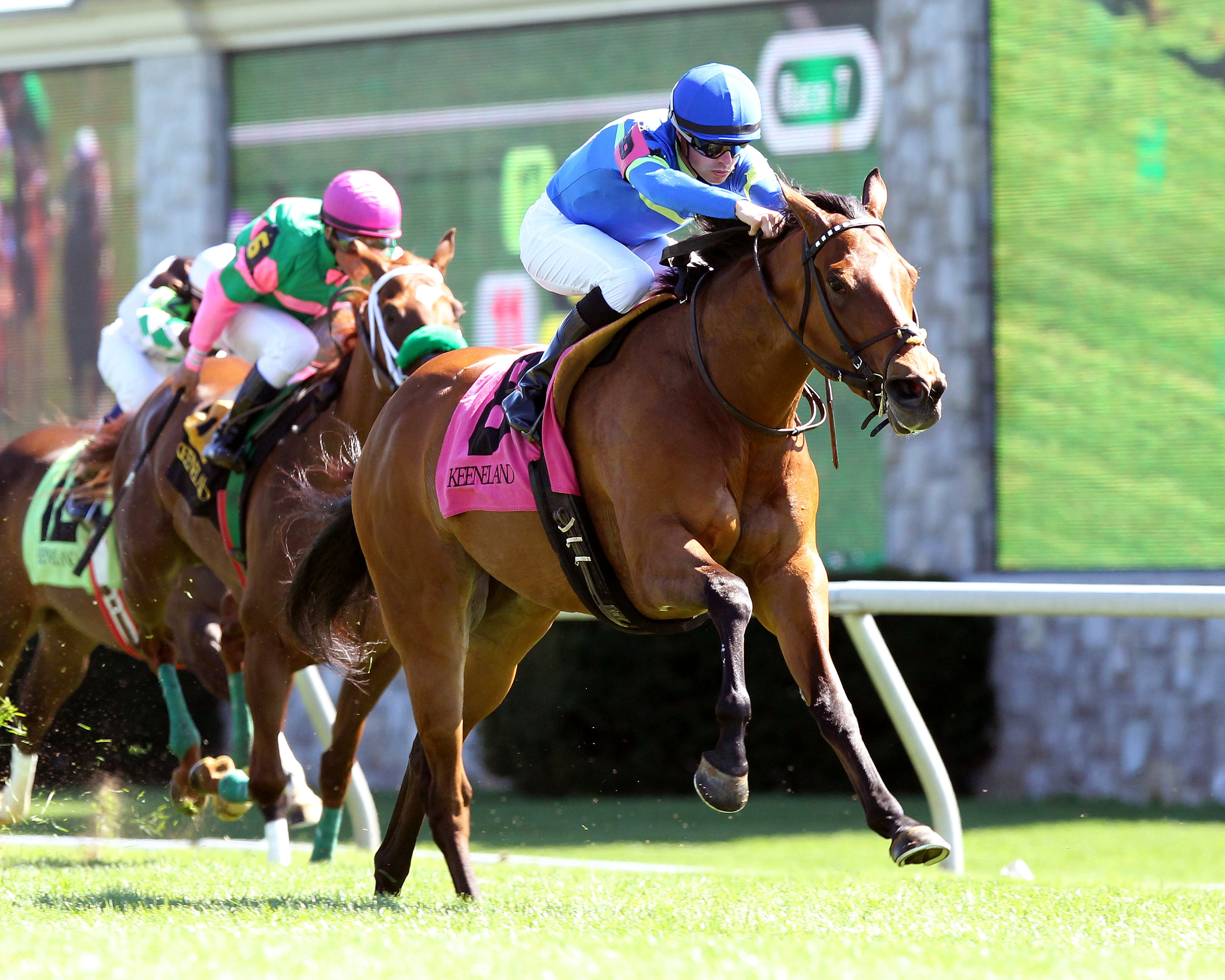 Katie's Eyes wins the Giant's Causeway