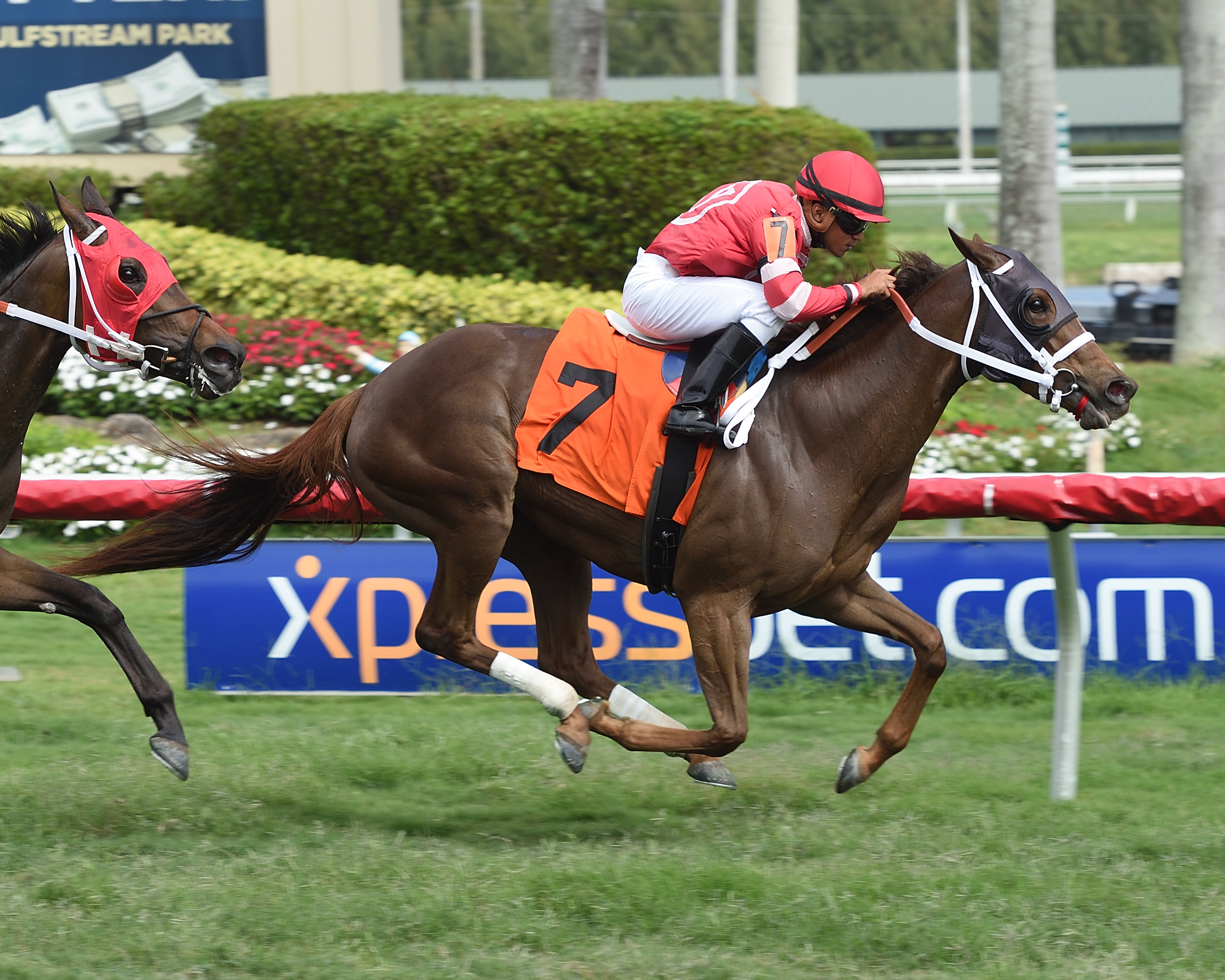 Katinka wins a March 2 maiden race
