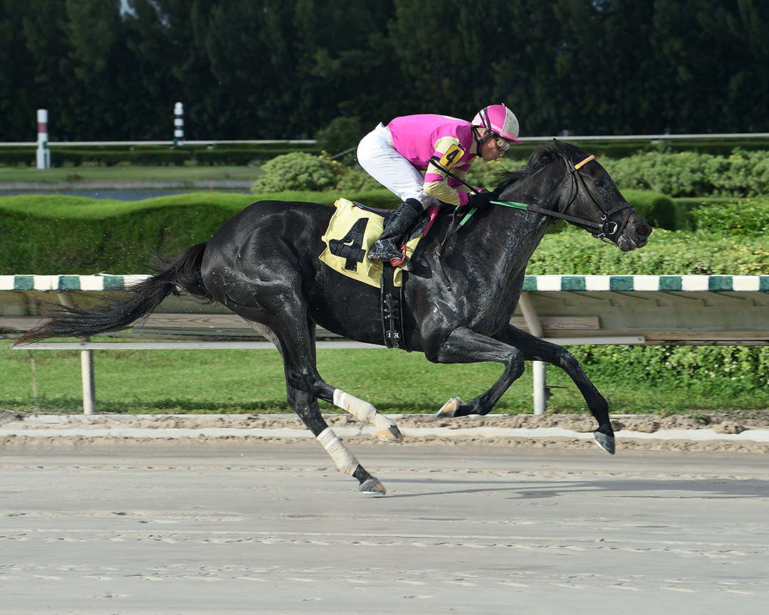 Katz a Dream wins a Nov. 22 maiden race at Gulfstream Park West