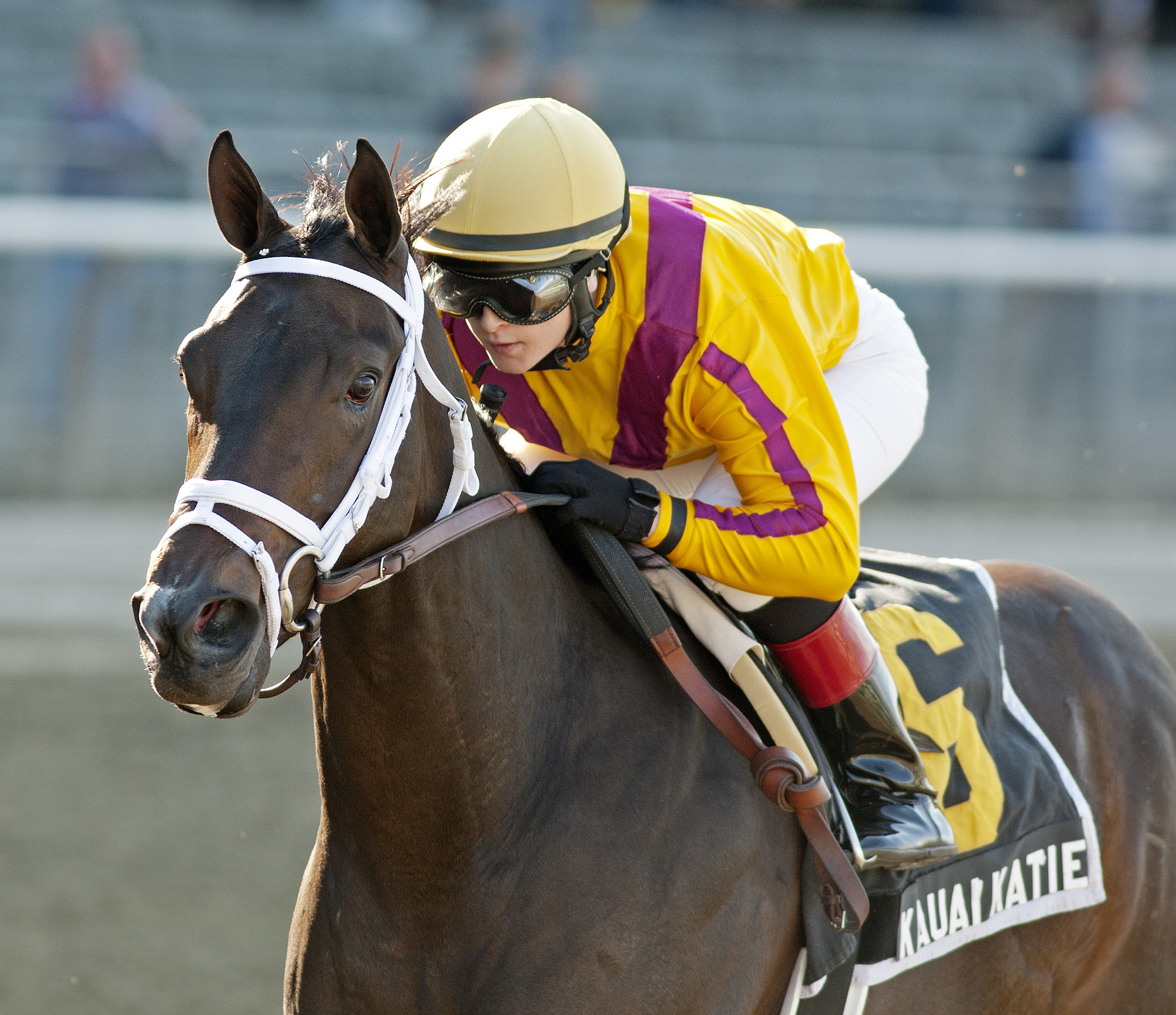 Kauai Katie/Matron Stakes