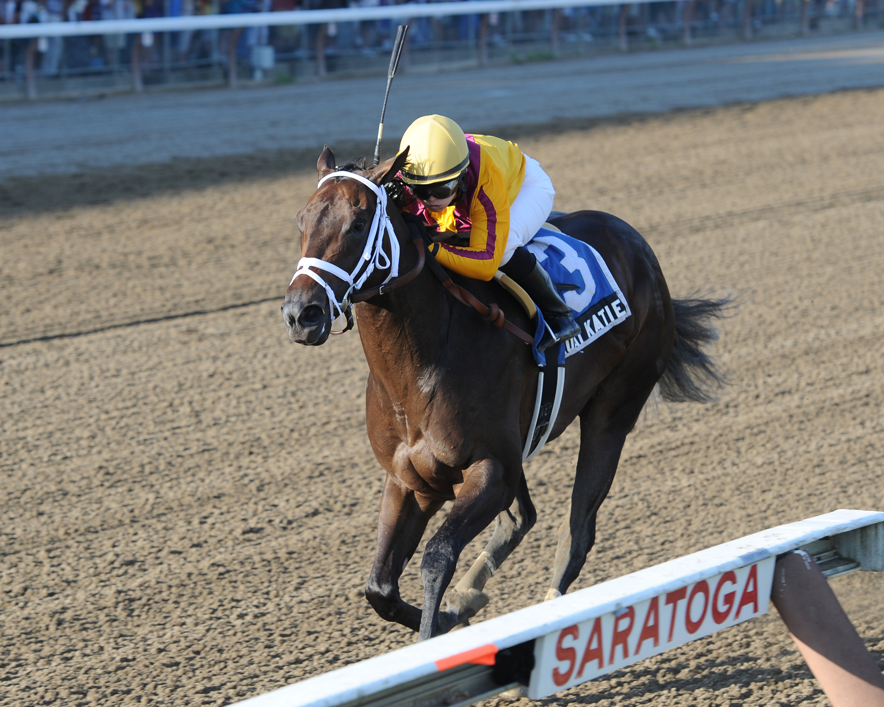Kauai Katie wins Adirondack