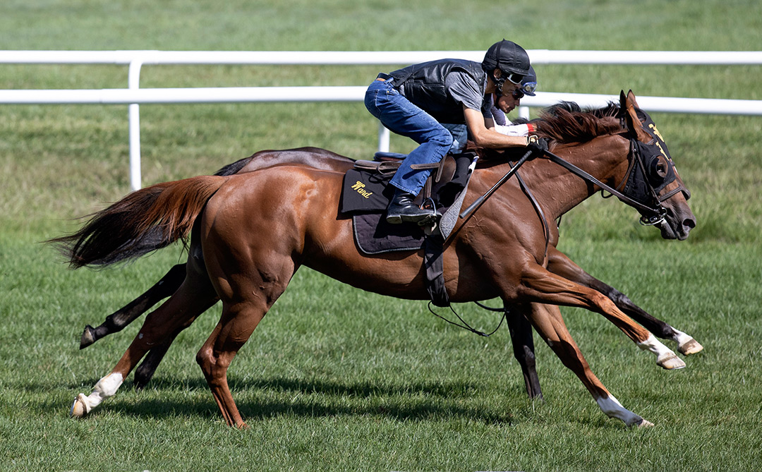 Kaufymaker trains at Saratoga Race Course on Aug. 15
