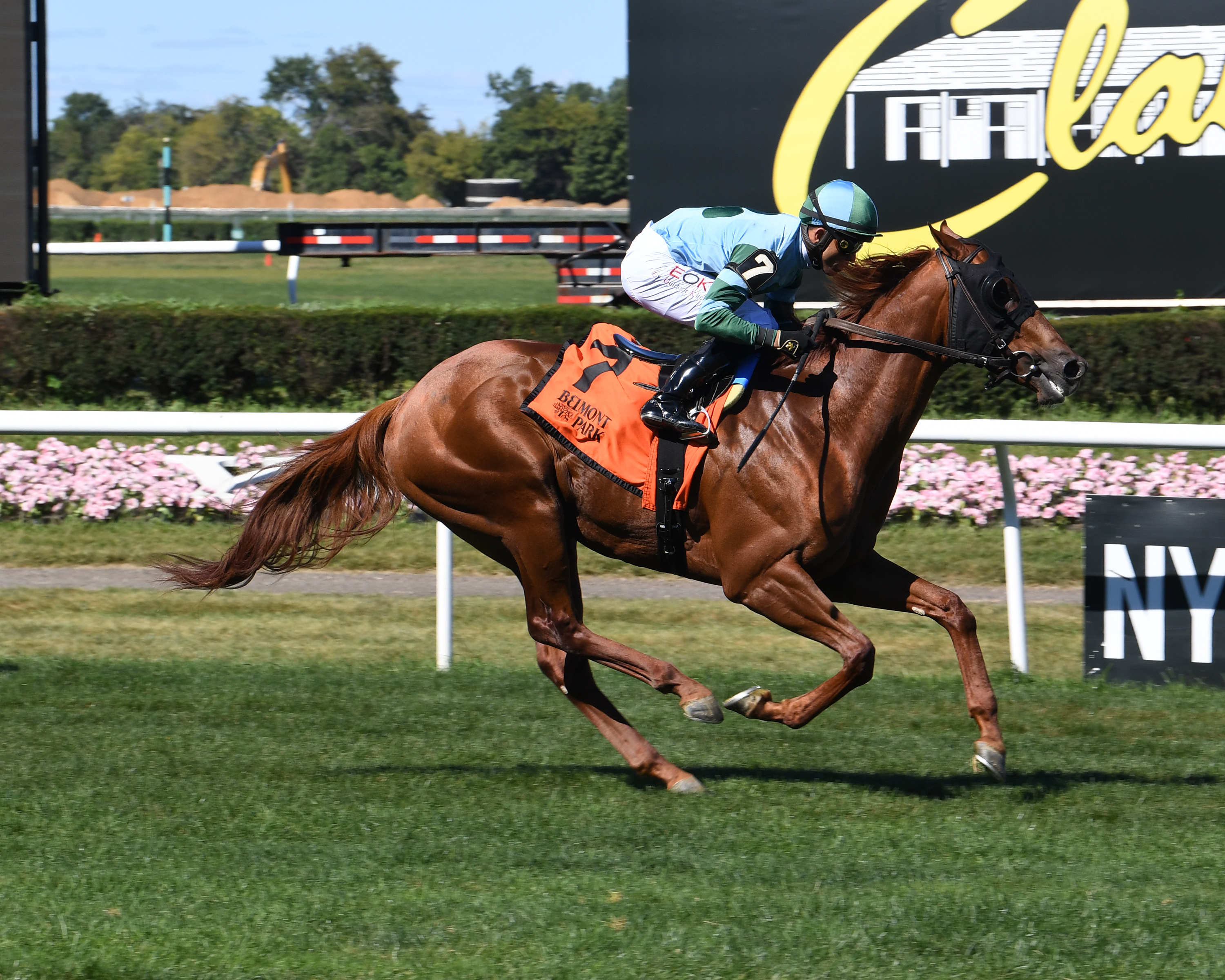 Kawhi Me a River rompiendo su maiden en Belmont Park