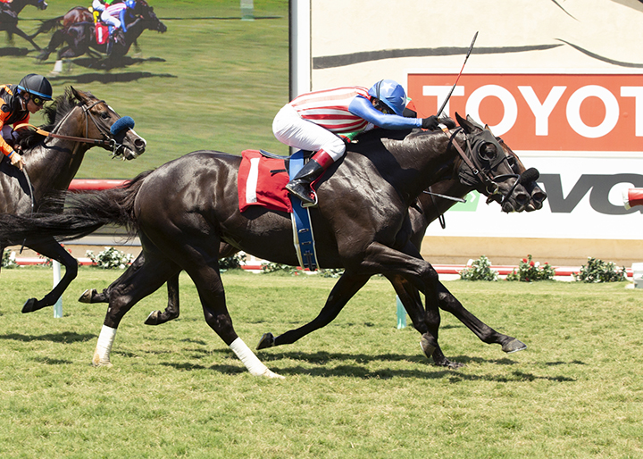 Kazan wins an Aug. 12 allowance race