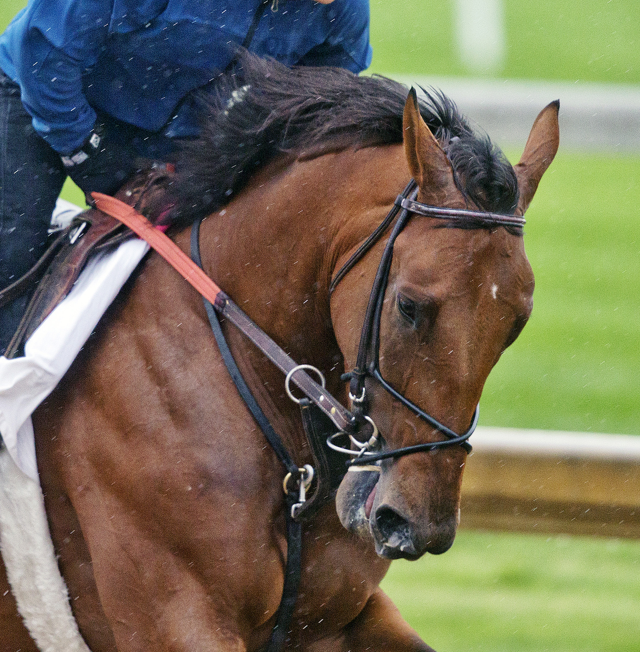Keen Ice at Churchill on June 1