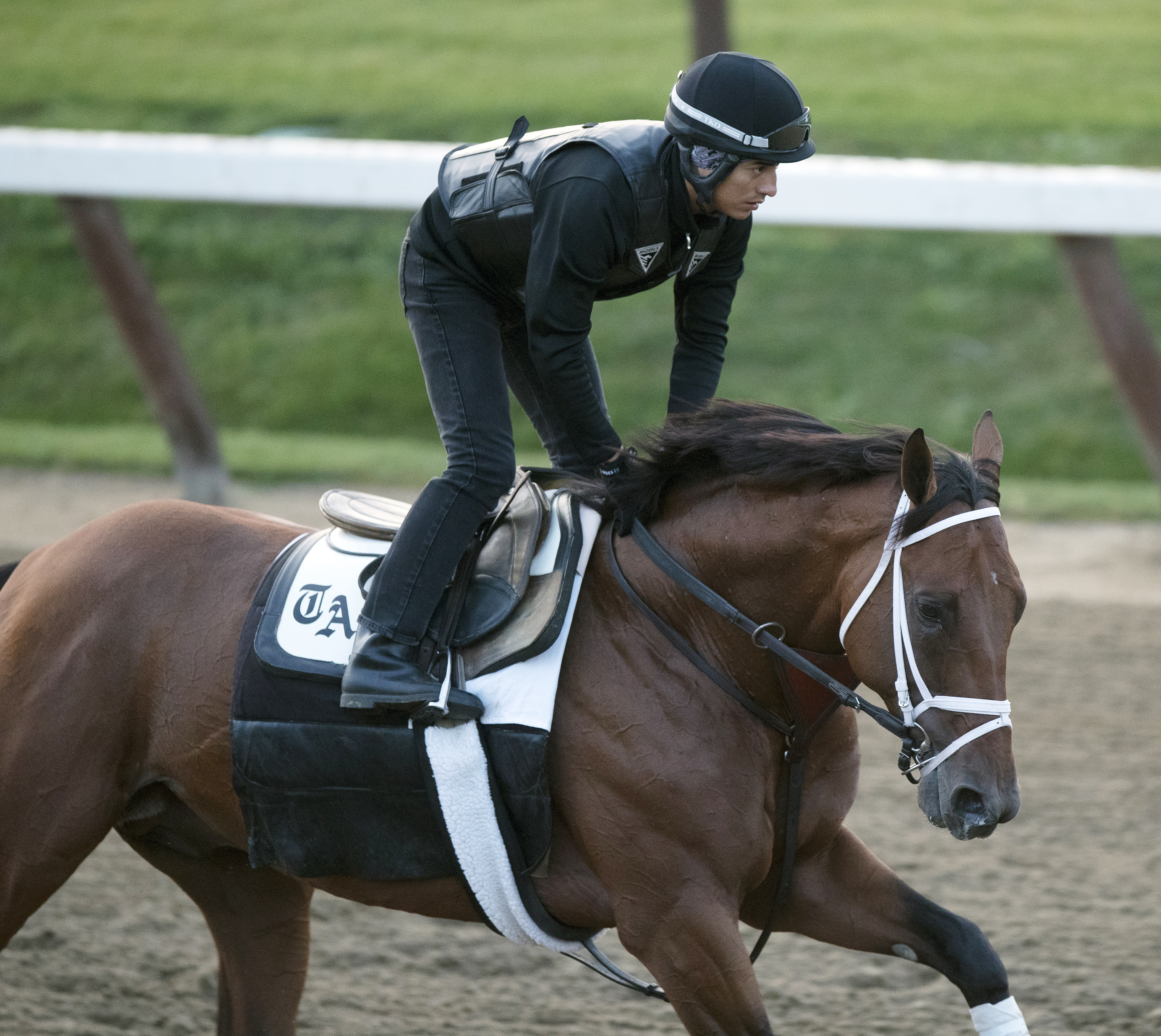 Keen Ice trains at Saratoga on Aug. 2