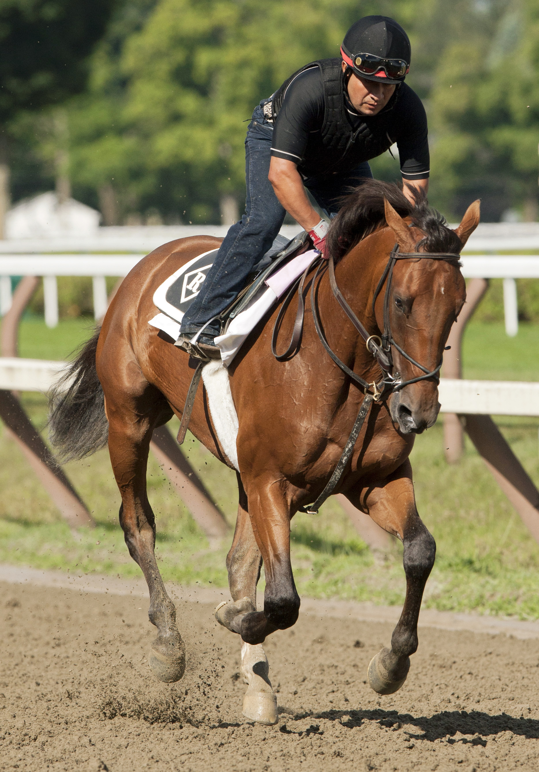 Keen Ice trains at Saratoga on Aug. 12