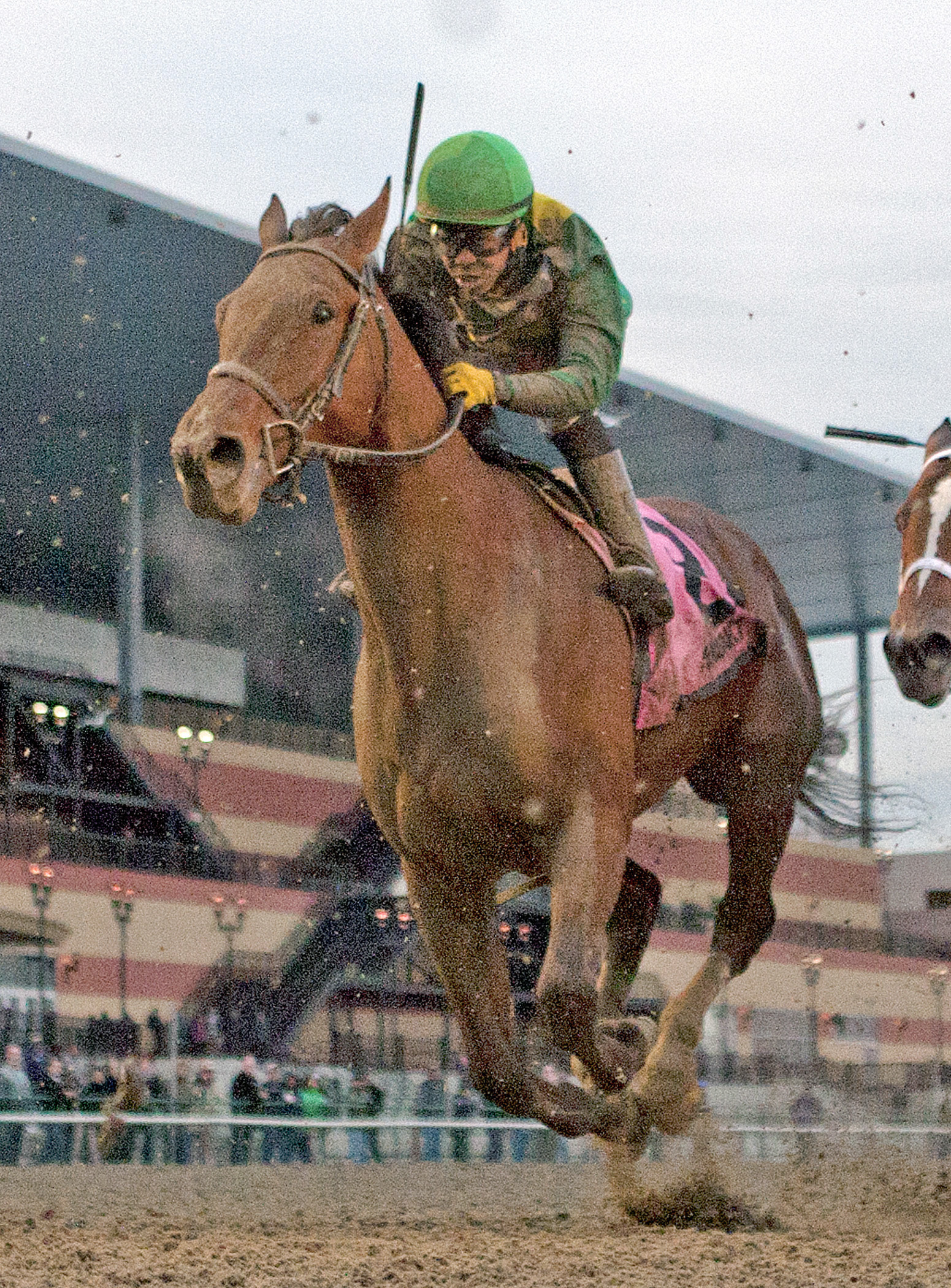 Keen Ice finishes third in the Remsen