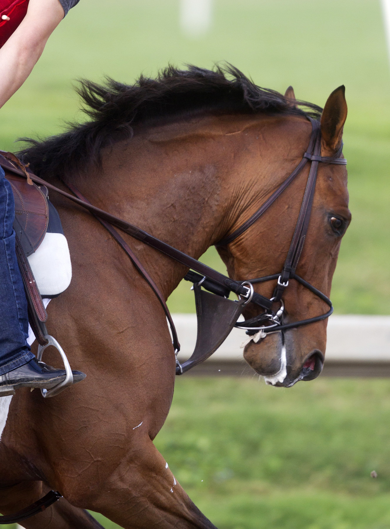 Keen Ice at Gulfstream on Jan. 3