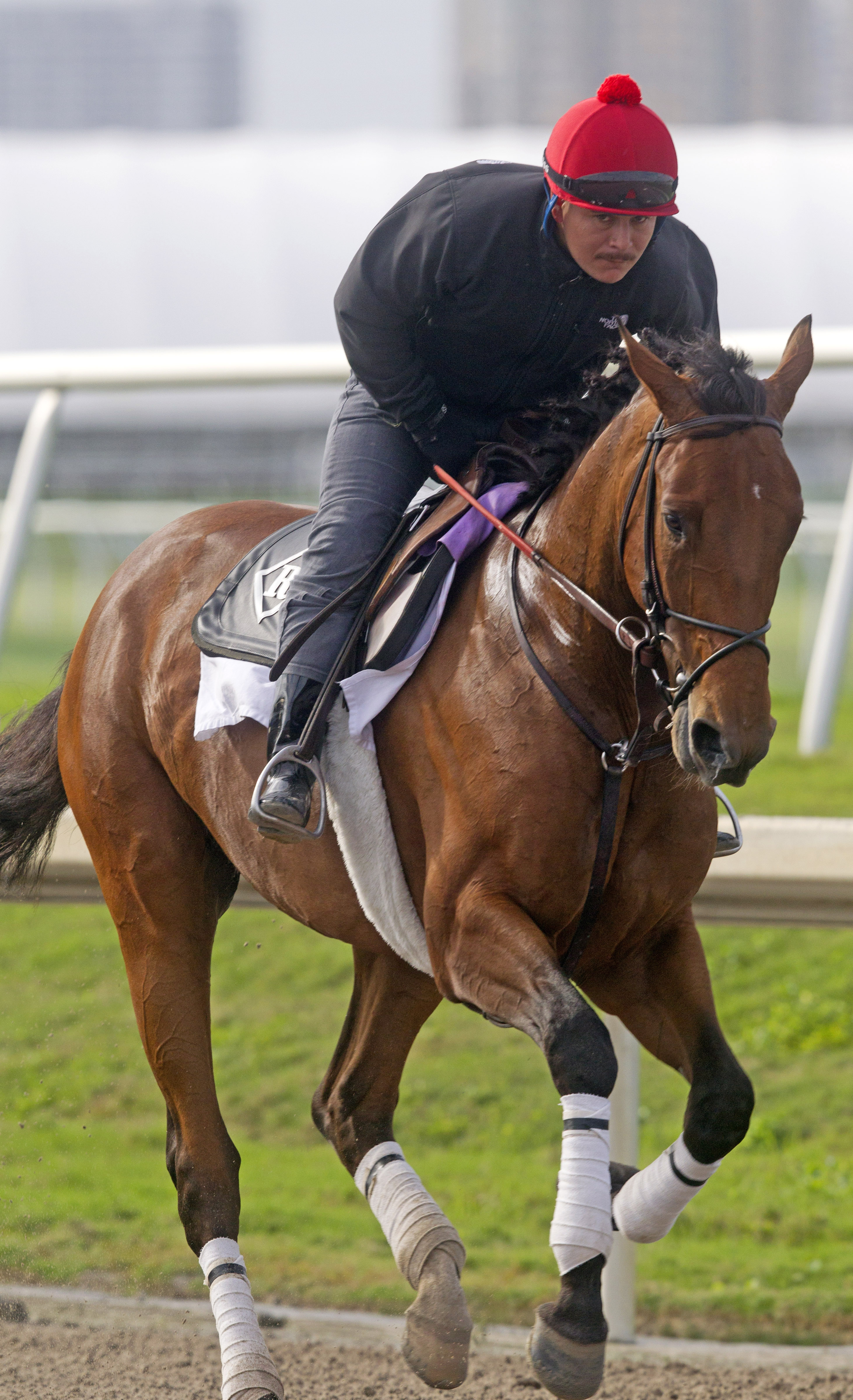 Keen Ice trains at Gulfstream on Feb. 3