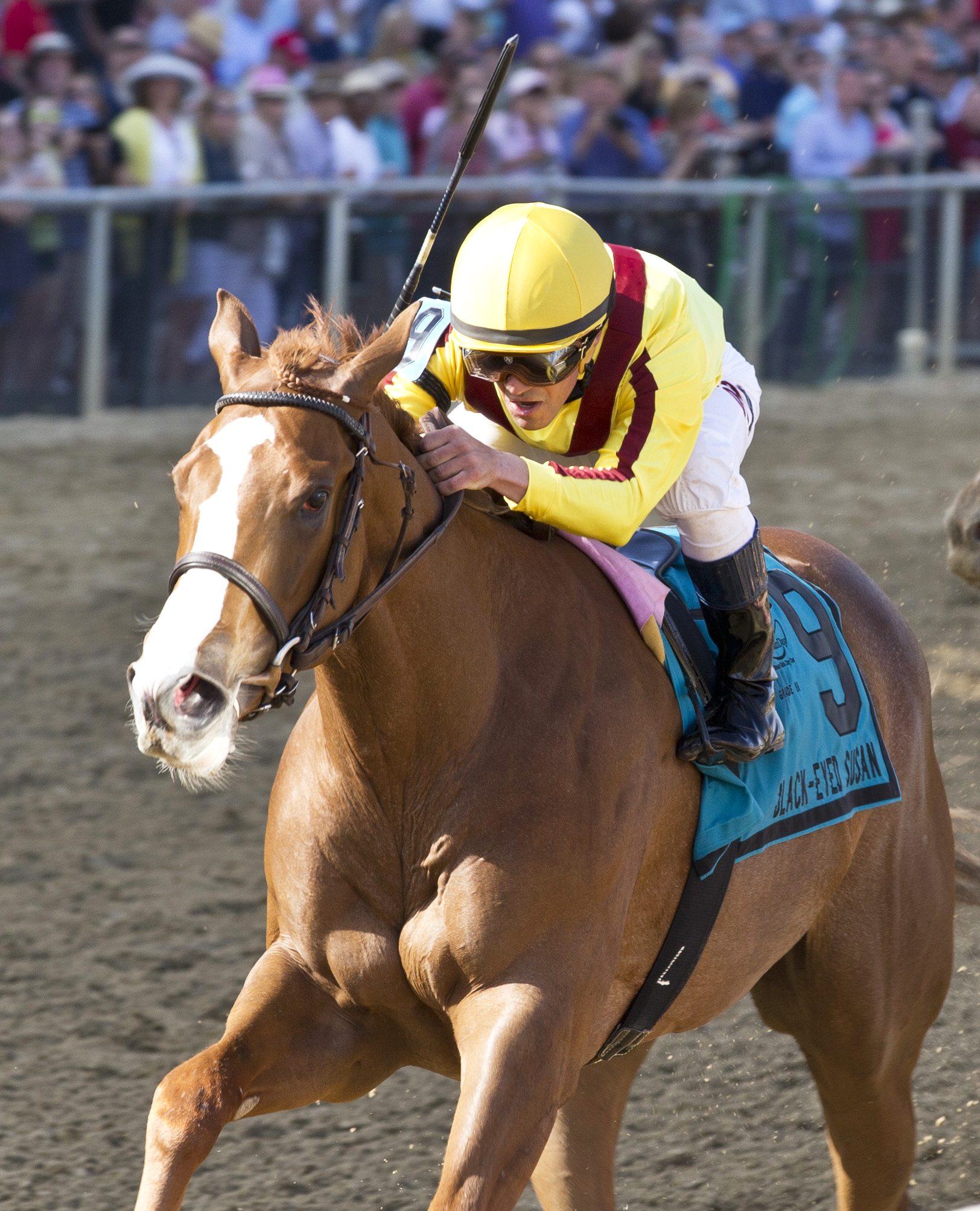 Keen Pauline wins the Black-Eyed Susan