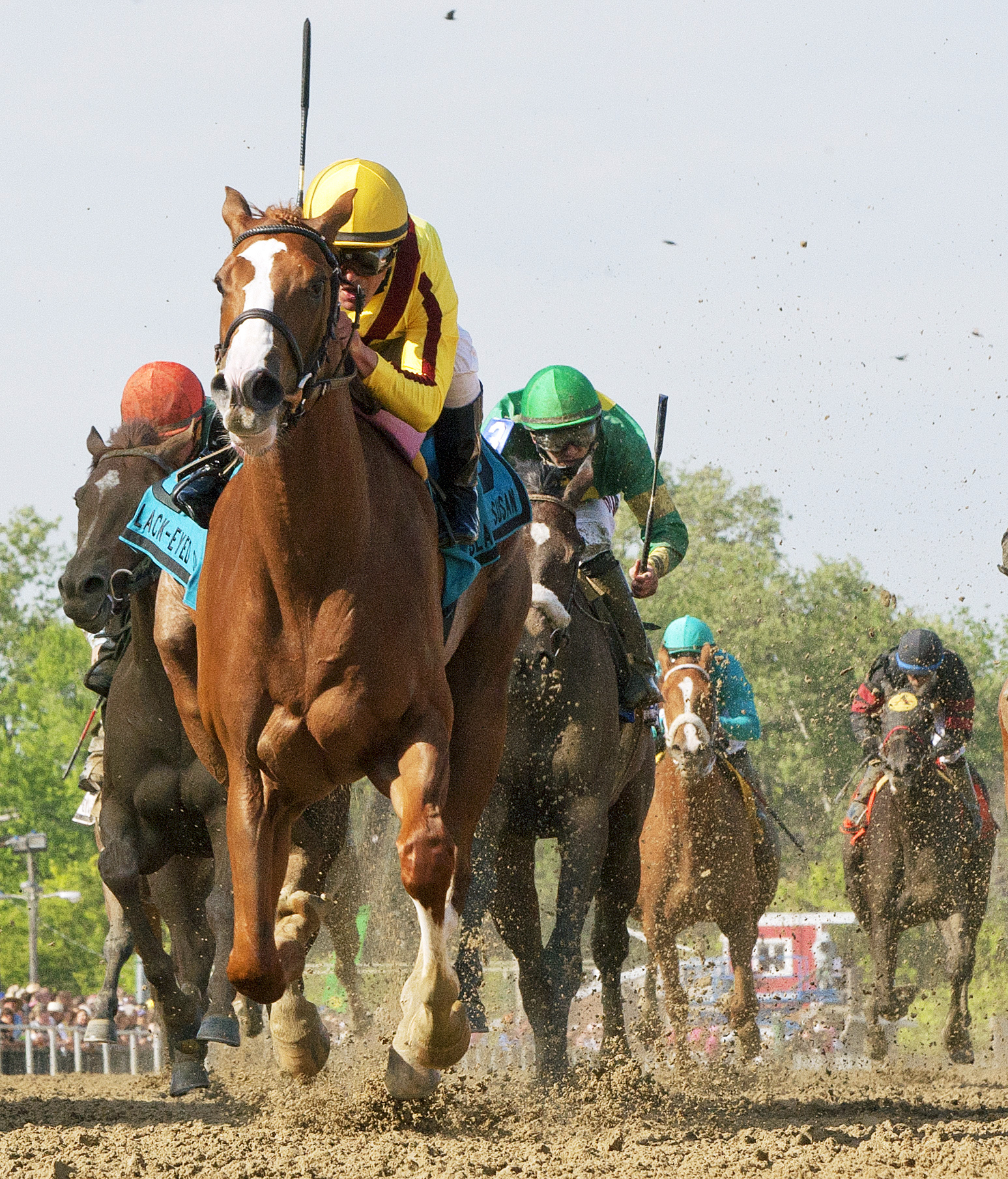Keen Pauline wins the Black-Eyed Susan