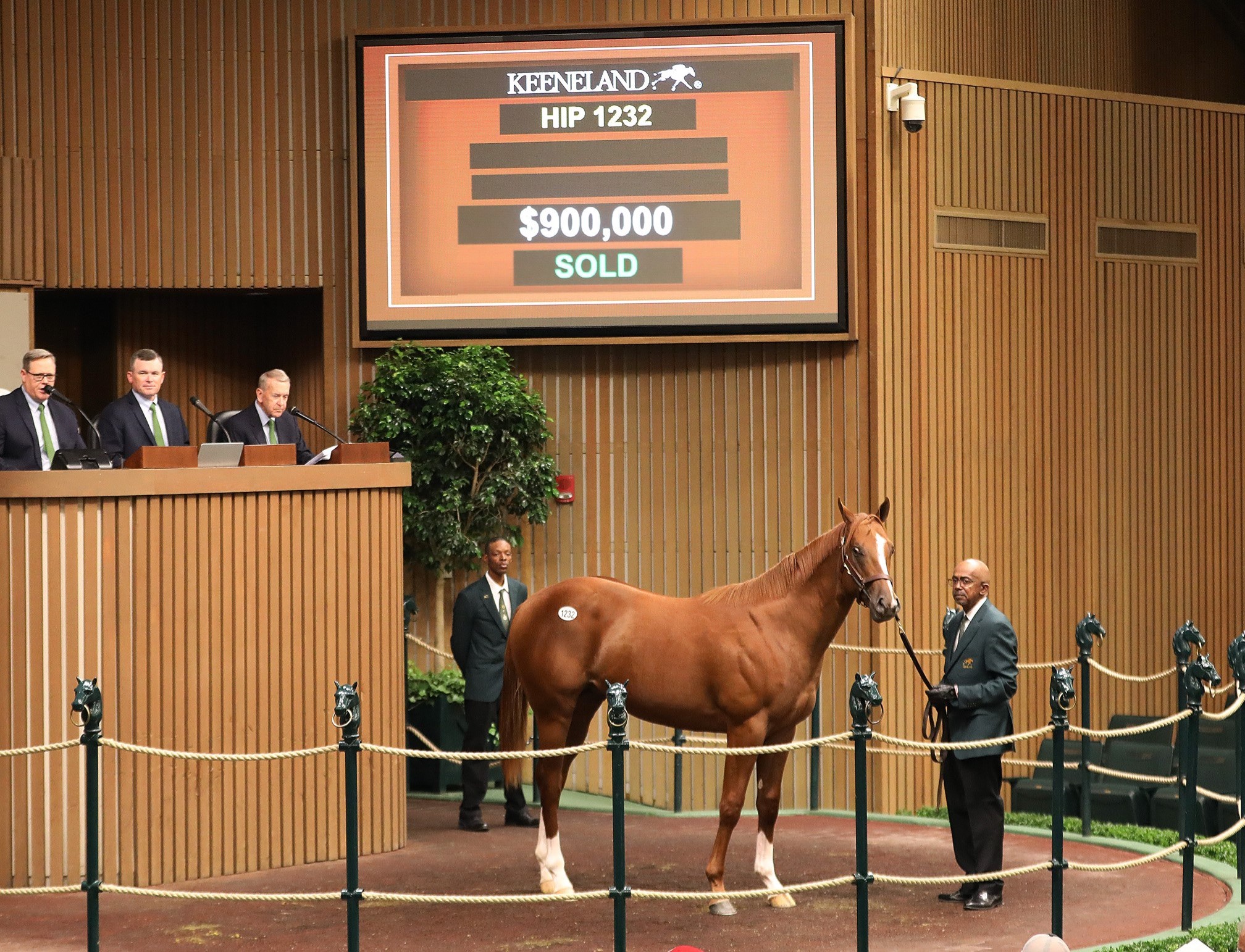 Keeneland Sept hip 1232 Curlin-Tangere Sept 17 2022
