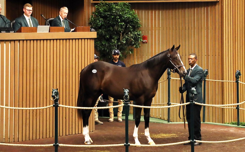 Keeneland September hip 3504 Girvin-Into Summer Sept 22 2022