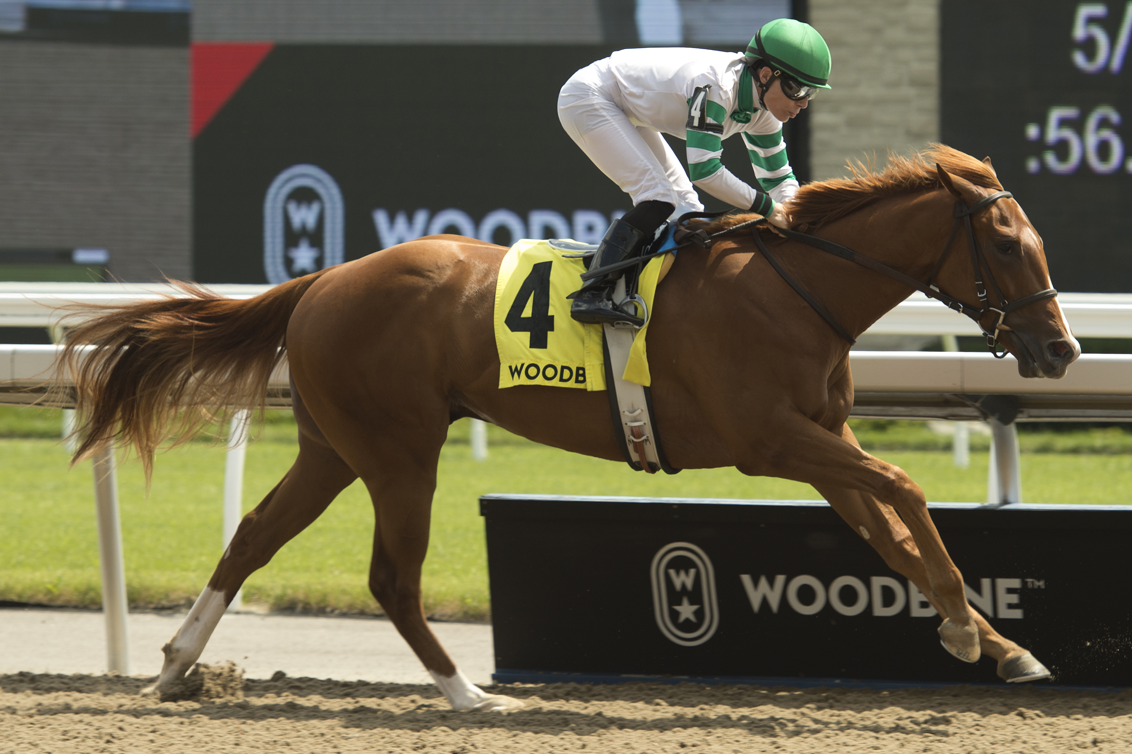 Keep On Truckin wins the Clarendon at Woodbine on Aug. 3, 2019