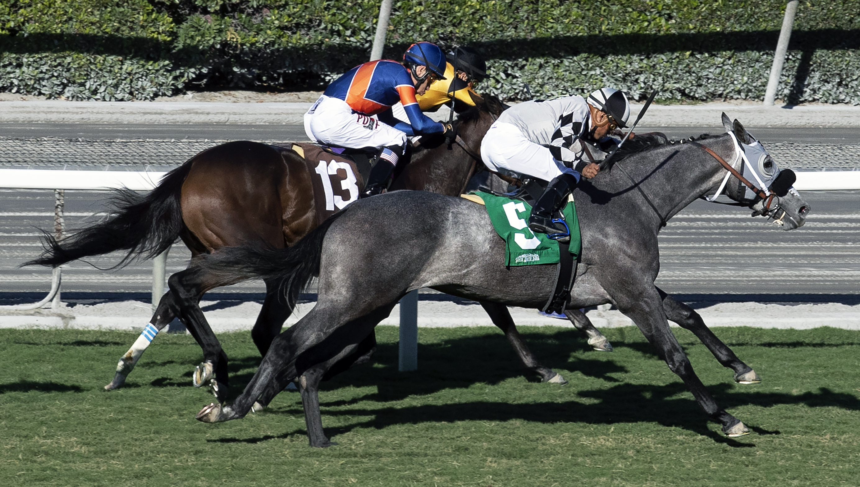 Keeper Ofthe Stars (outside) wins the 2019 Autumn Miss Stakes